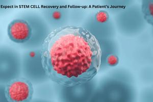 What to Expect in STEM CELL Recovery and Follow-up: A Patient’s Journey