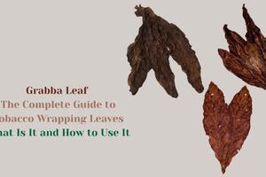 Grabba Leaf: From Its Origins And Varieties to How to Properly Use It