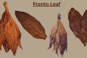 The Complete Guide to Fronto Leaf: Everything You Need to Know About This Natural Tobacco Alternative