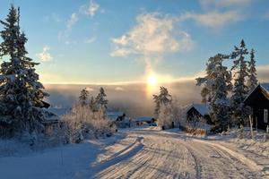 How To Prepare Home For Extreme Cold Weather