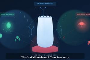 The Oral Microbiome and Its Impact on Immunity