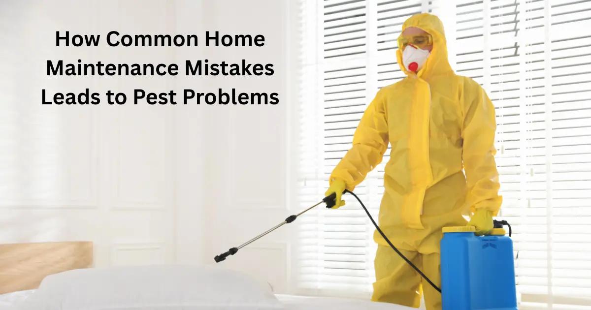 How Common Home Maintenance Mistakes Leads to Pest Problems