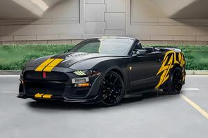 The Best Private Tours in Dubai: Exploring the City in Style