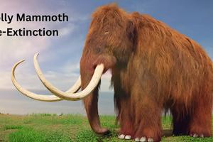 Woolly Mammoth De-Extinction: How Scientists Plan to Bring Back Ice Age Giants by 2028