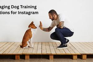 75+ Engaging Dog Training Captions for Instagram: Motivate & Inspire