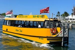 Is the Water Taxi Market Set for a Sustainable Surge in 2025?