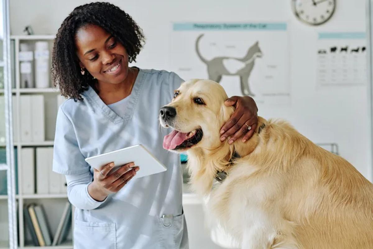 Veterinary Care