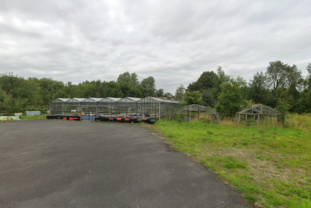 A row of commercial glasshouses behind an empty tarmac yard, with trees and rough grass to the side