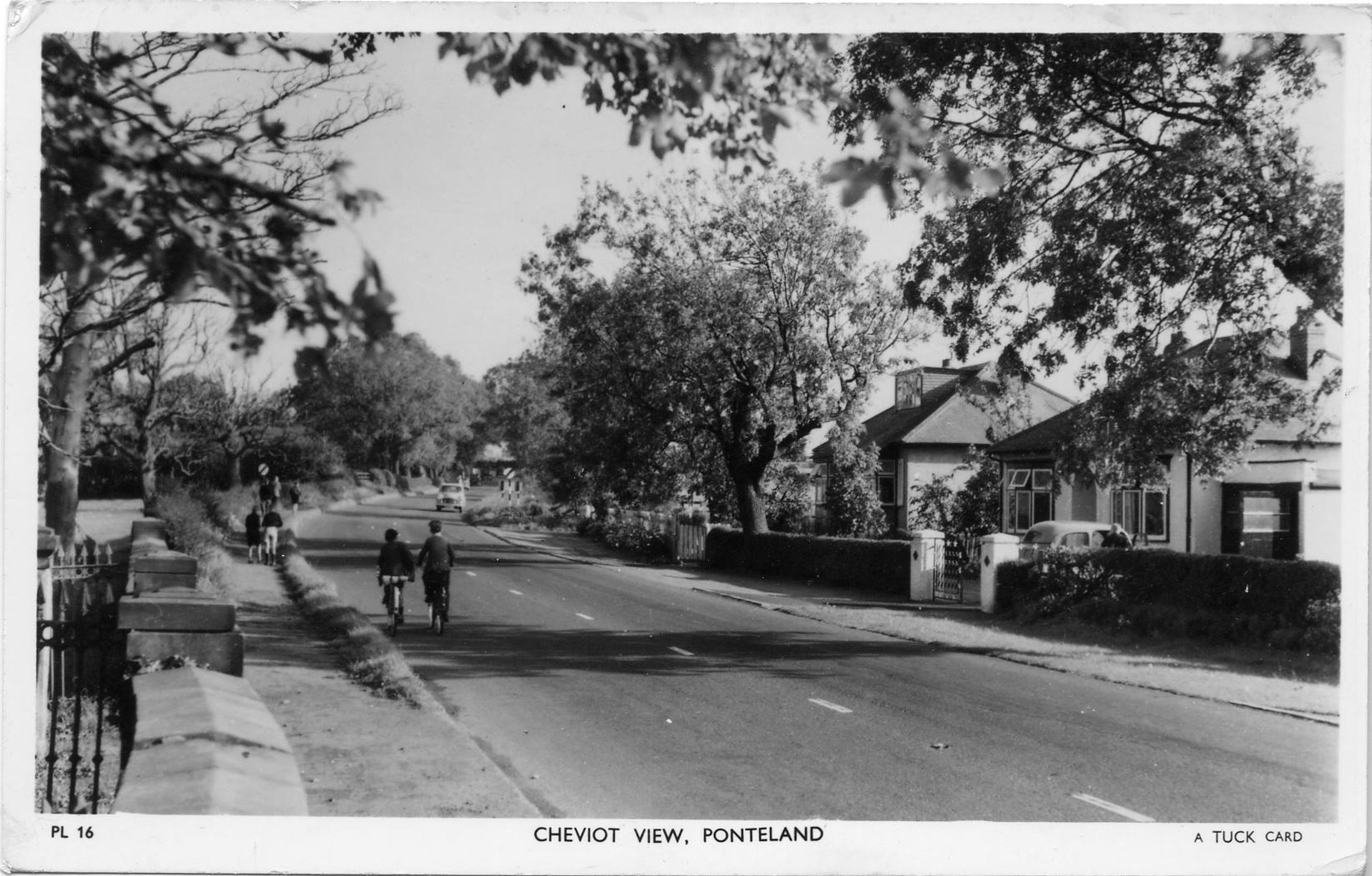 Cheviot View, ribbon development (5 of 5)