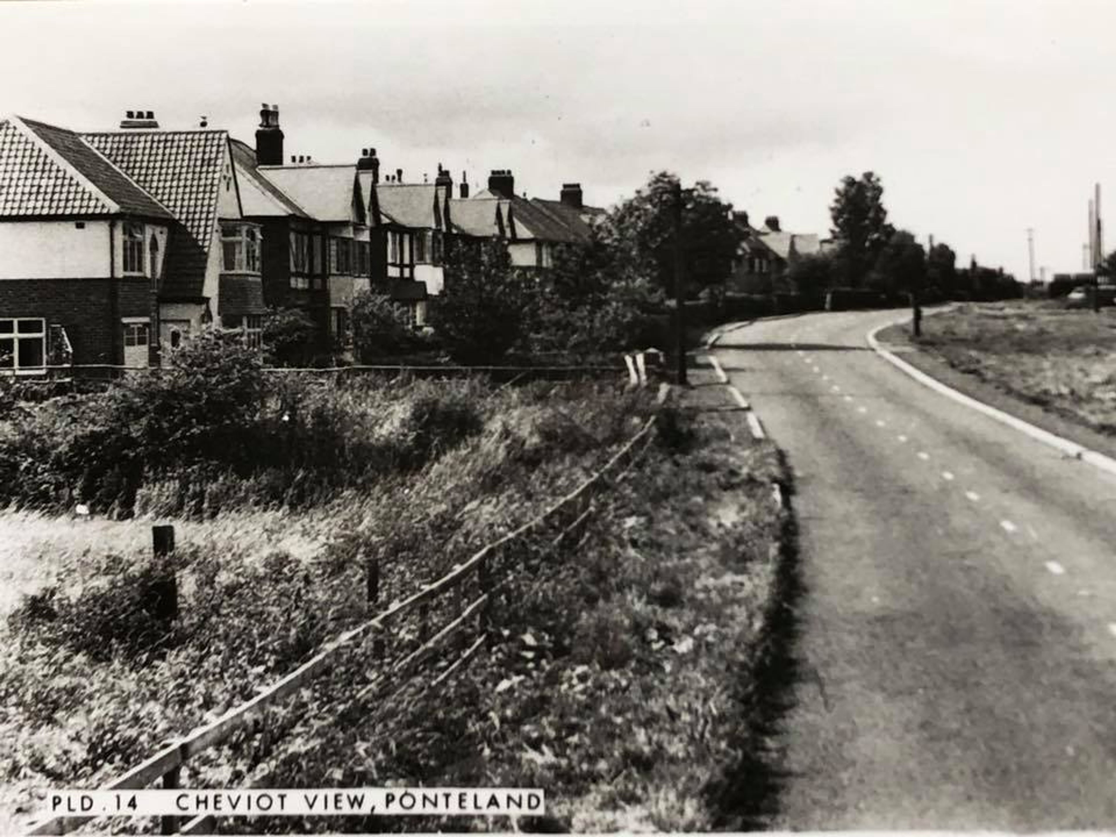 Black and white photograph of a row of semi-detached houses set back above a main road, captioned Cheviot View, Ponteland