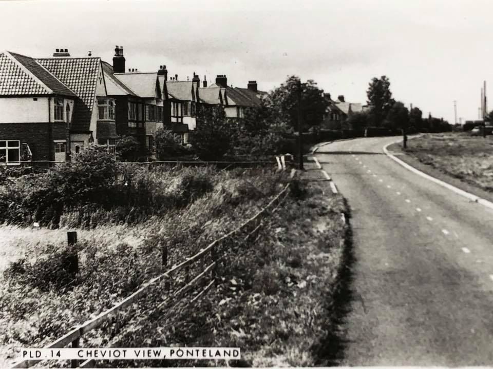 Black and white photograph of a row of semi-detached houses set back above a main road, captioned Cheviot View, Ponteland