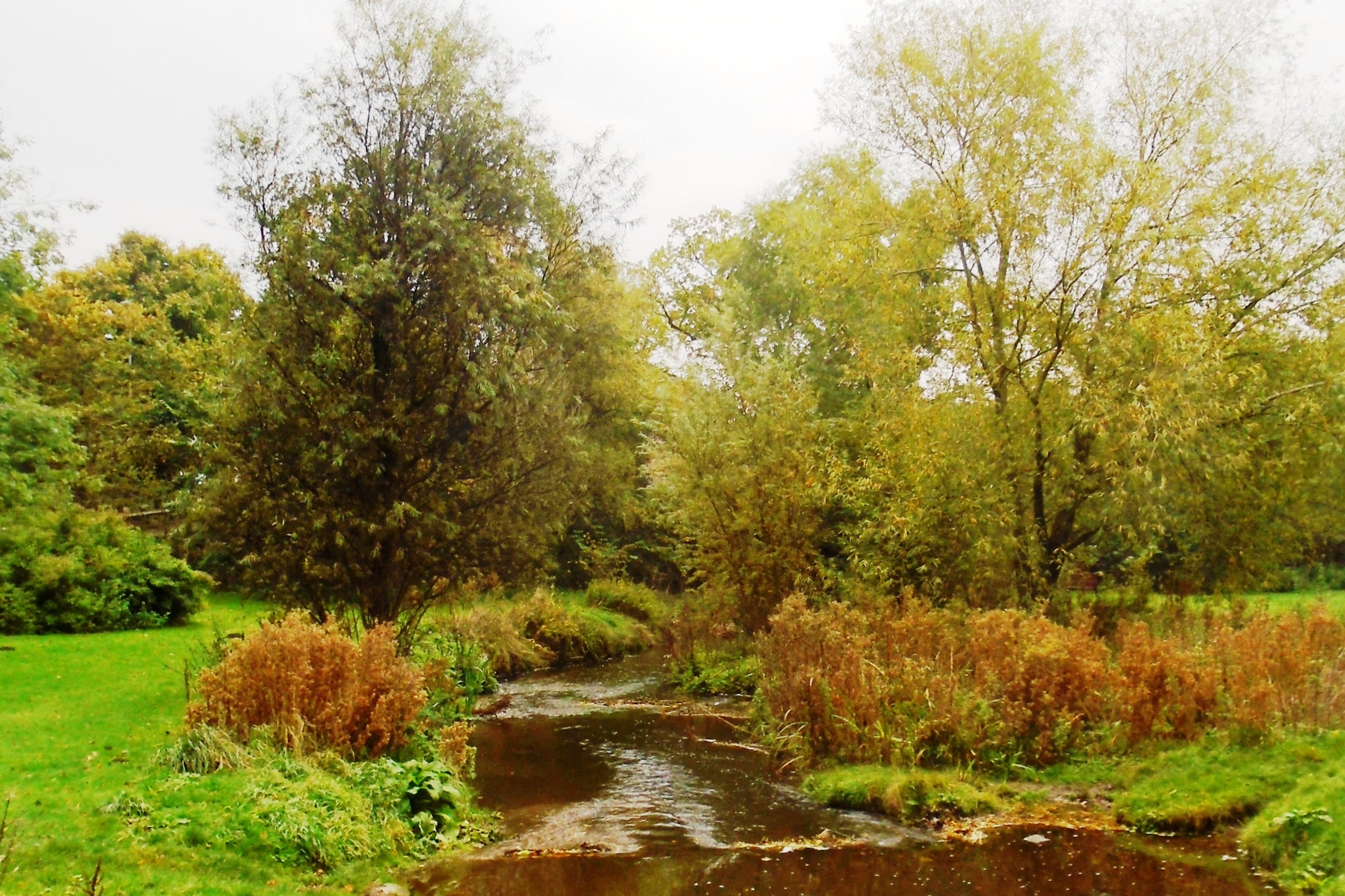 Ponteland Park, public park (2 of 3)