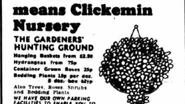 Clickemin Nursery greenhouses