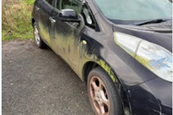 How to Remove Moss From Your Car
