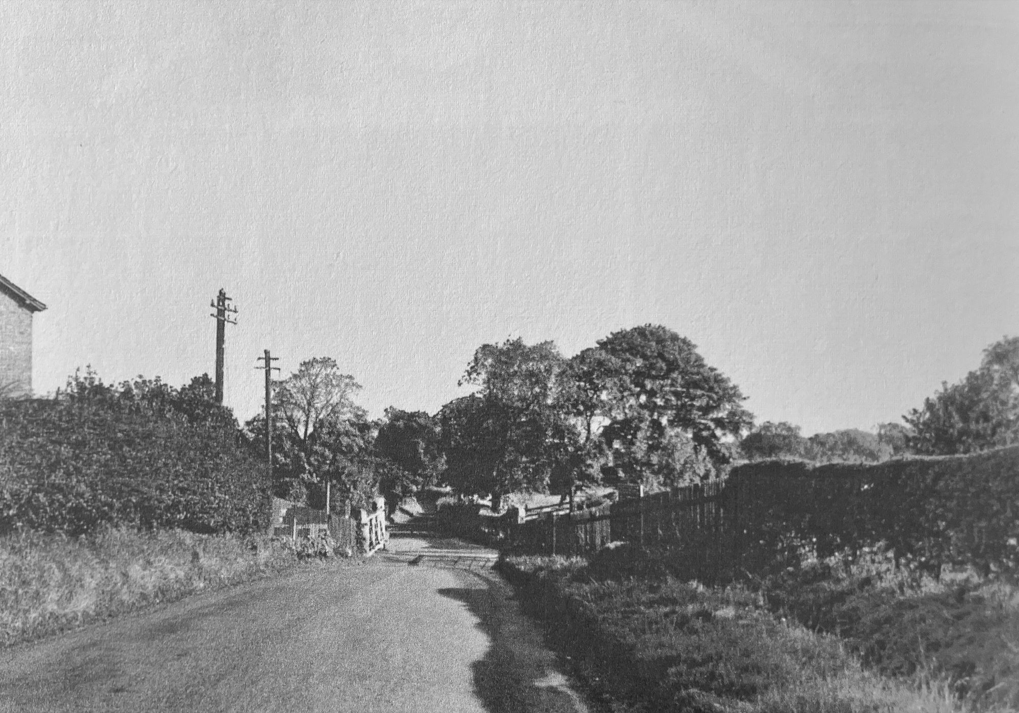 Black and white photograph of a country lane running between hedges, with a level crossing gate and telegraph poles ahead