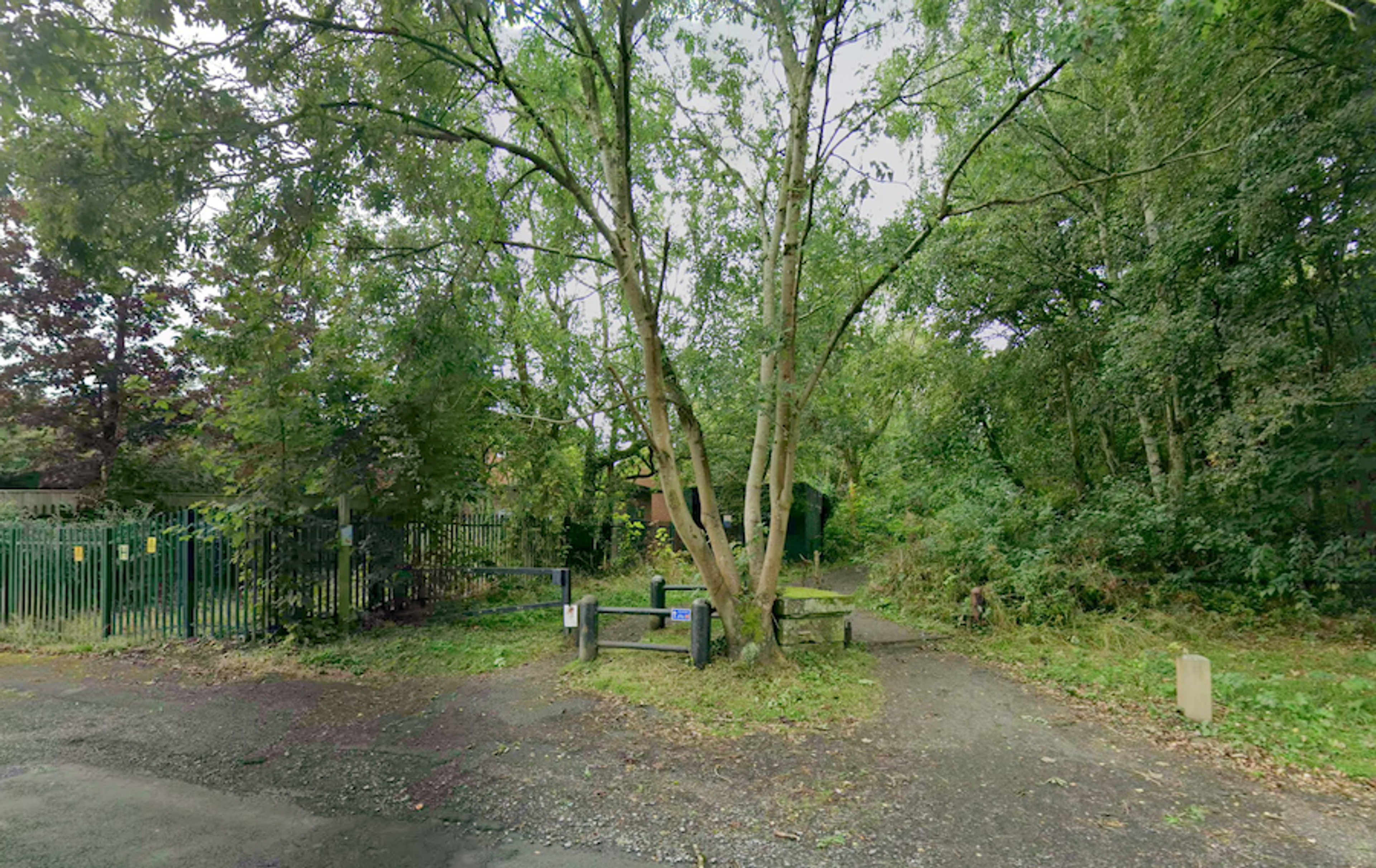 A gravel path curving away between mature trees, with green metal railings and a wooden bench, on the course of a former railway line