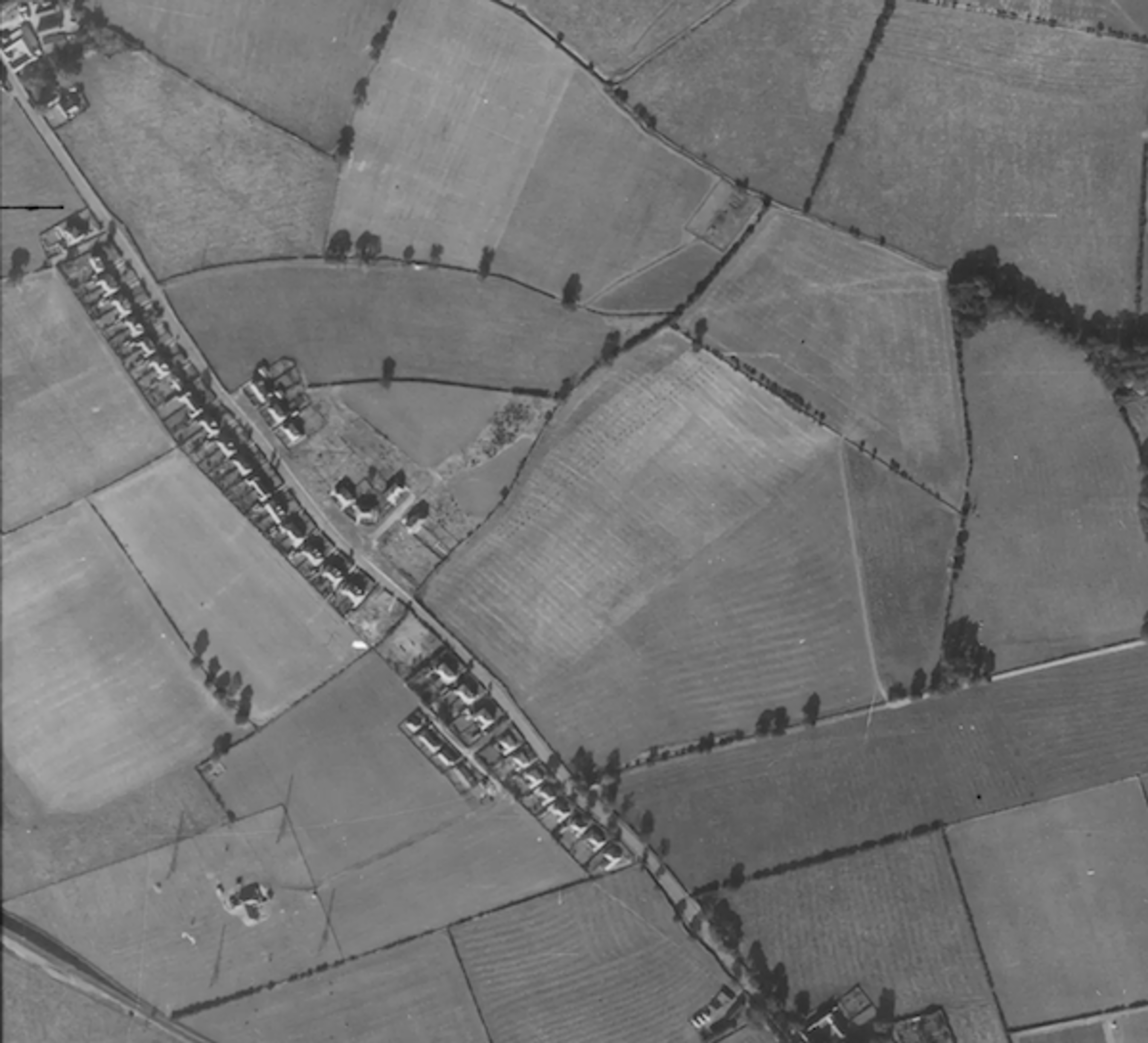 Cheviot View, ribbon development (4 of 5)