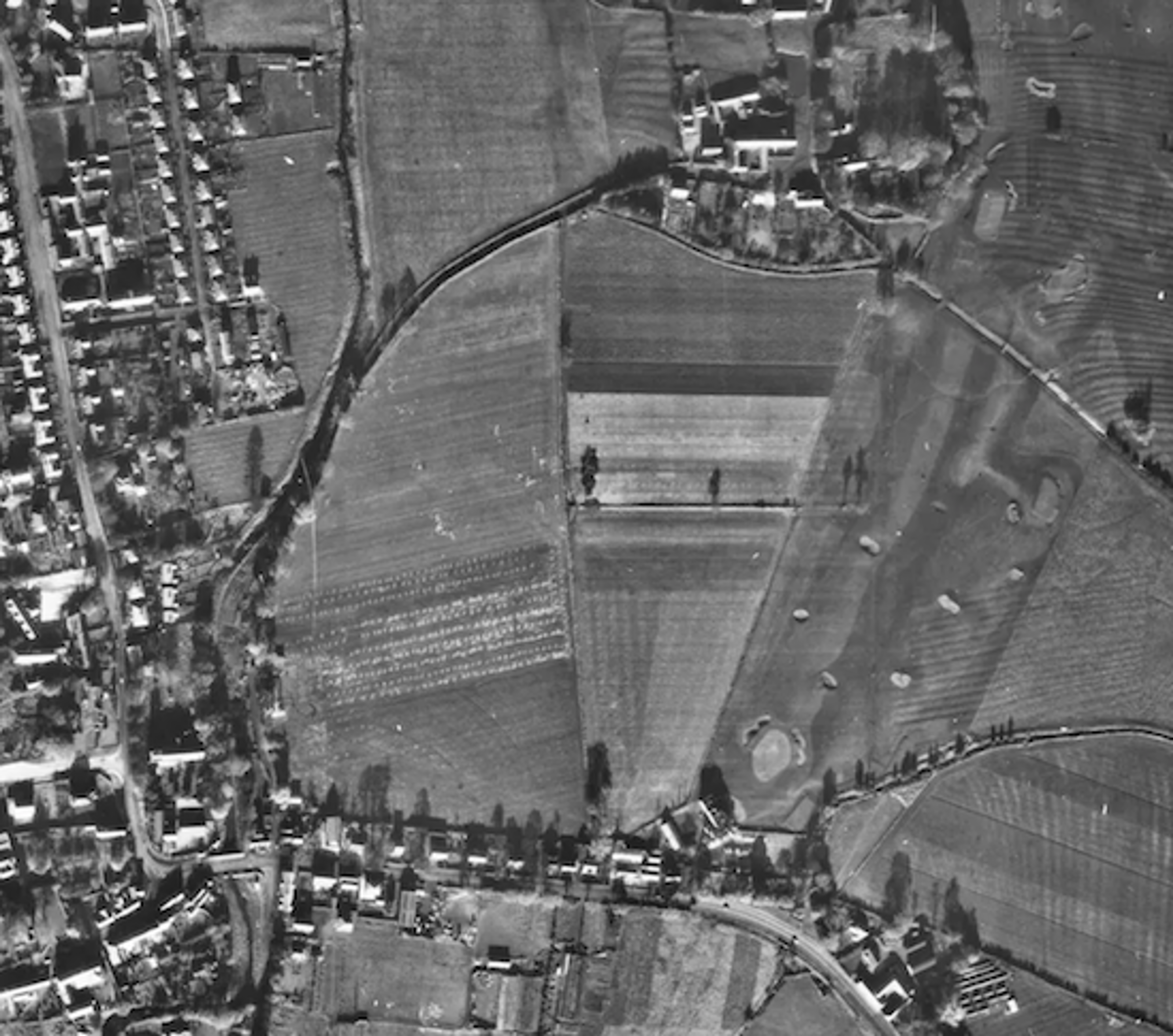 Eland Haugh Estate, belleway 1980's estate (3 of 3)
