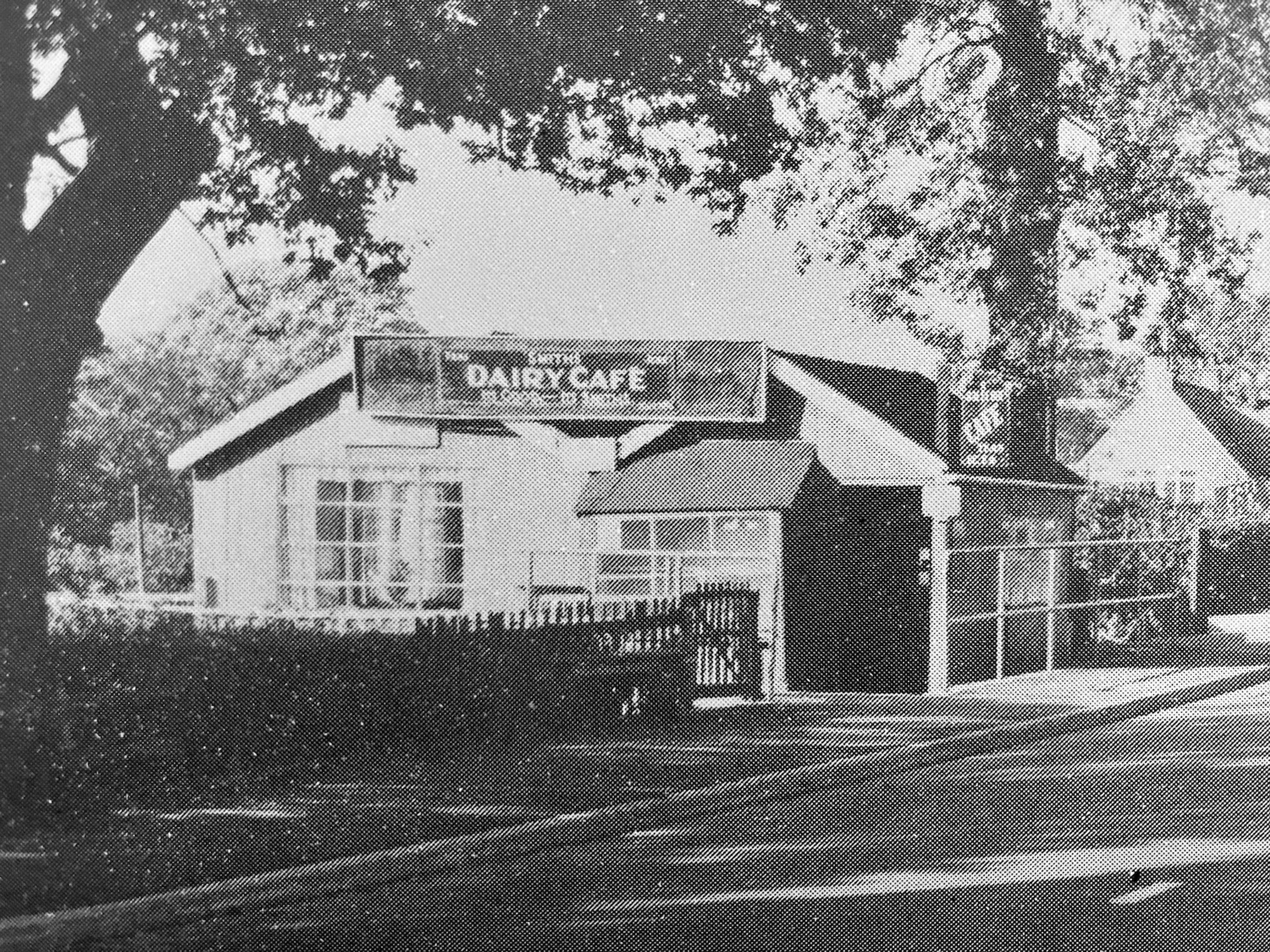 Black and white photograph of a small single-storey cafe beneath trees, with a large sign on the roof reading Dairy Cafe