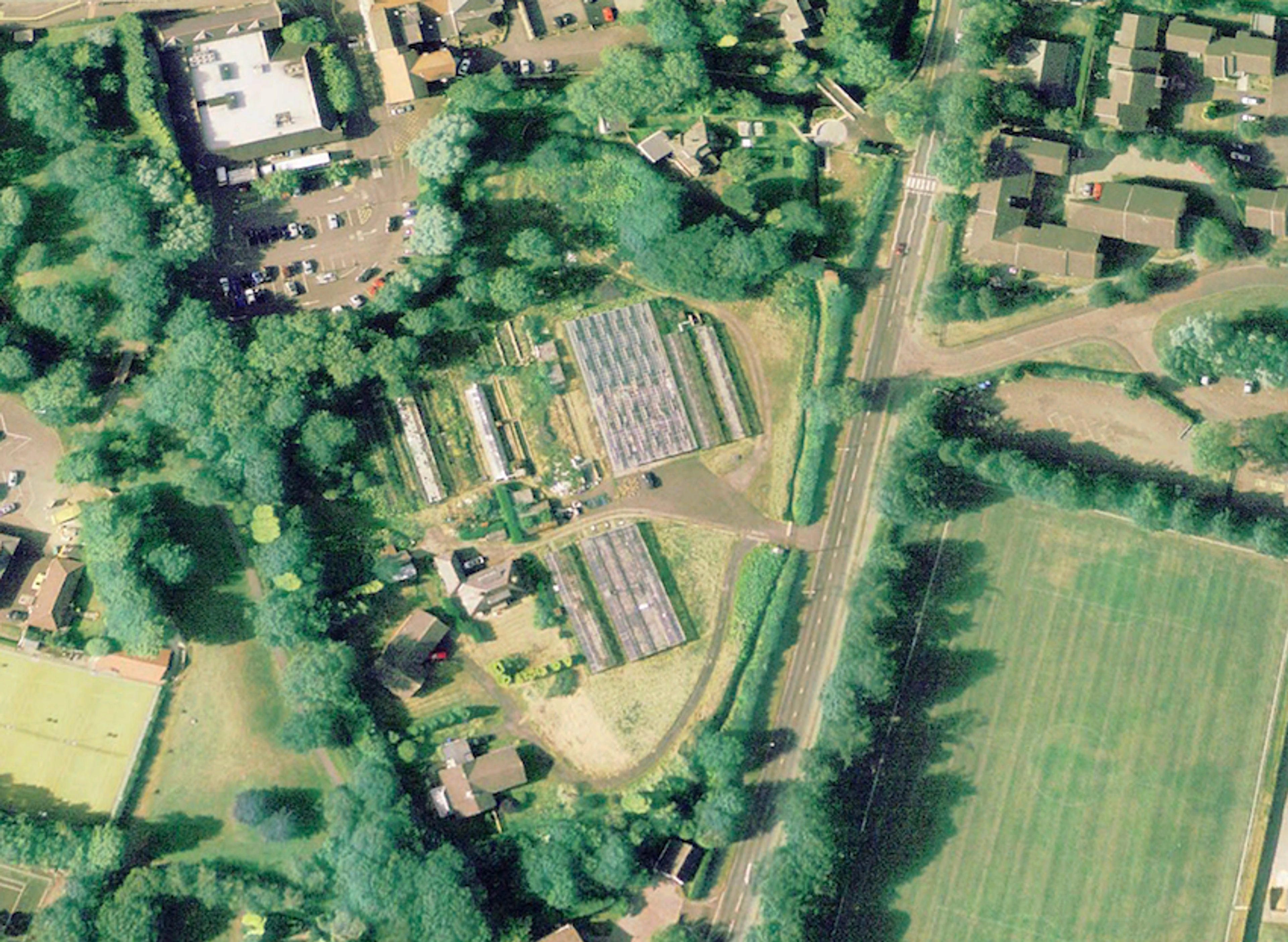 Lane Nurseries, soon to be a supermarket (3 of 4)