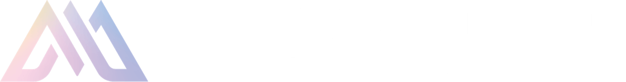 THE MUSE COMPANY