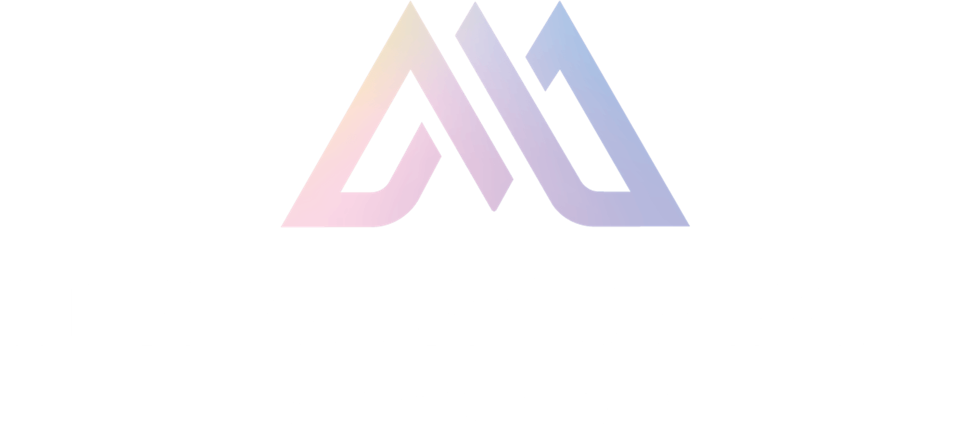 THE MUSE COMPANY