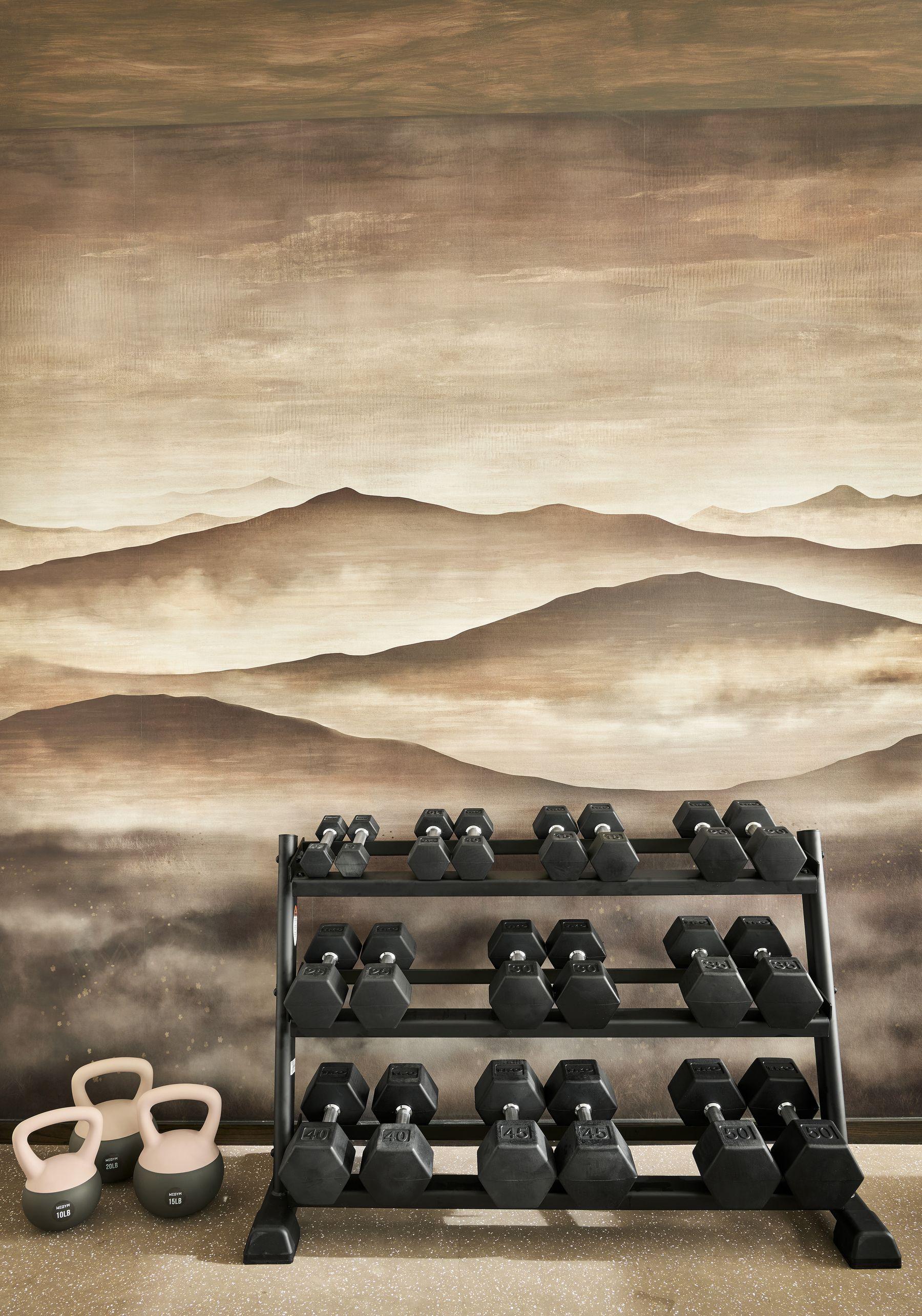 Home gym, its dumbbell rack set beneath a large mountain landscape