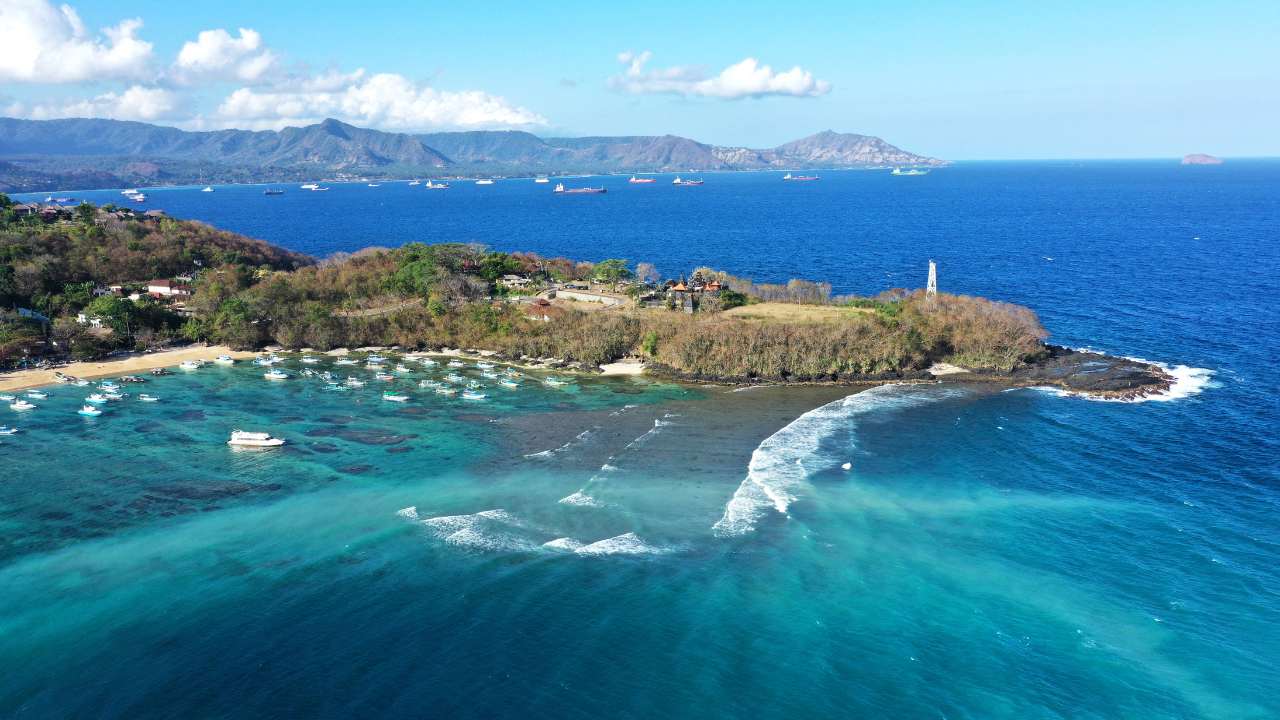 experience beautiful marine life