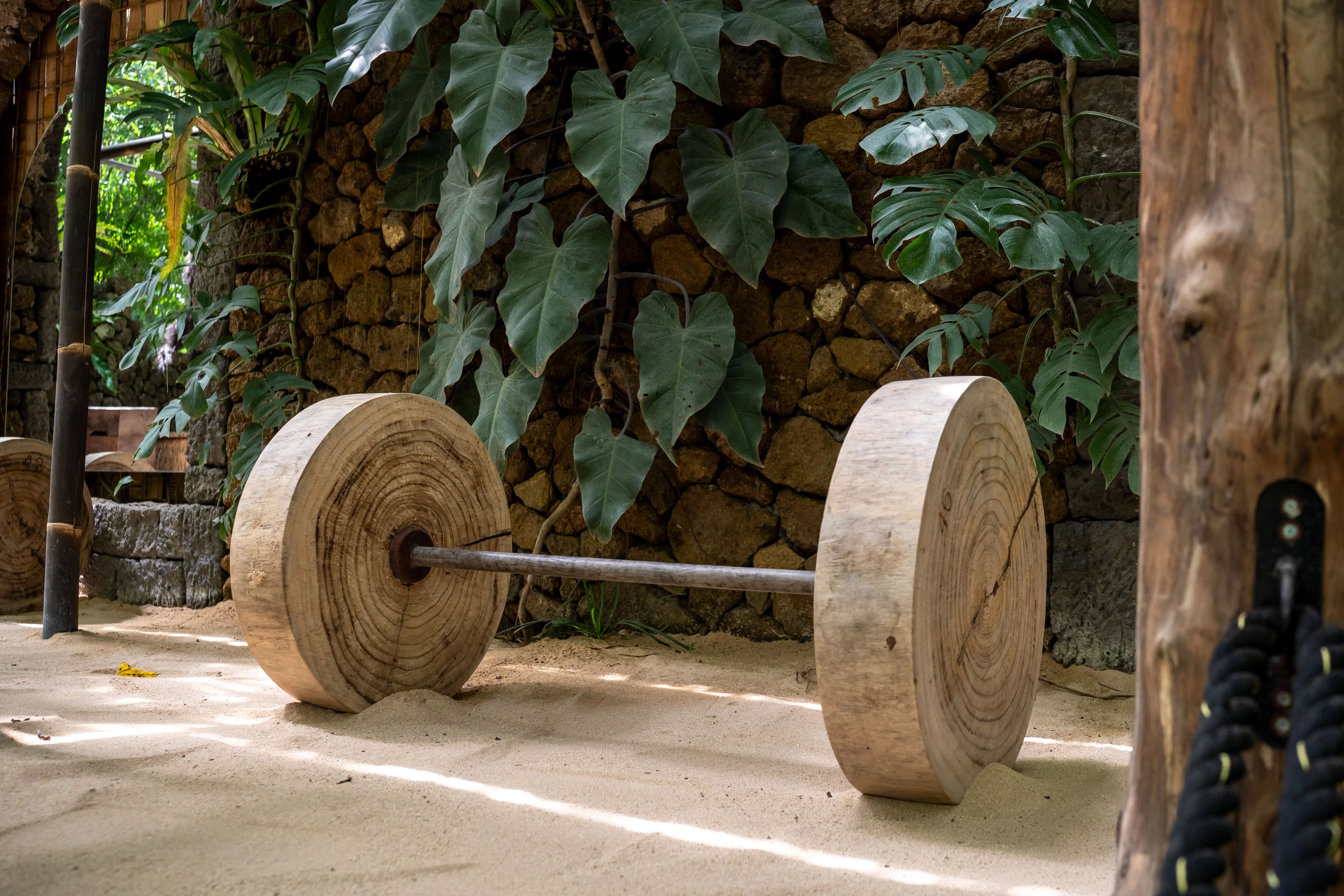 Two thick cross-cut timber plates on a barbell, showing the grain of the wood.
