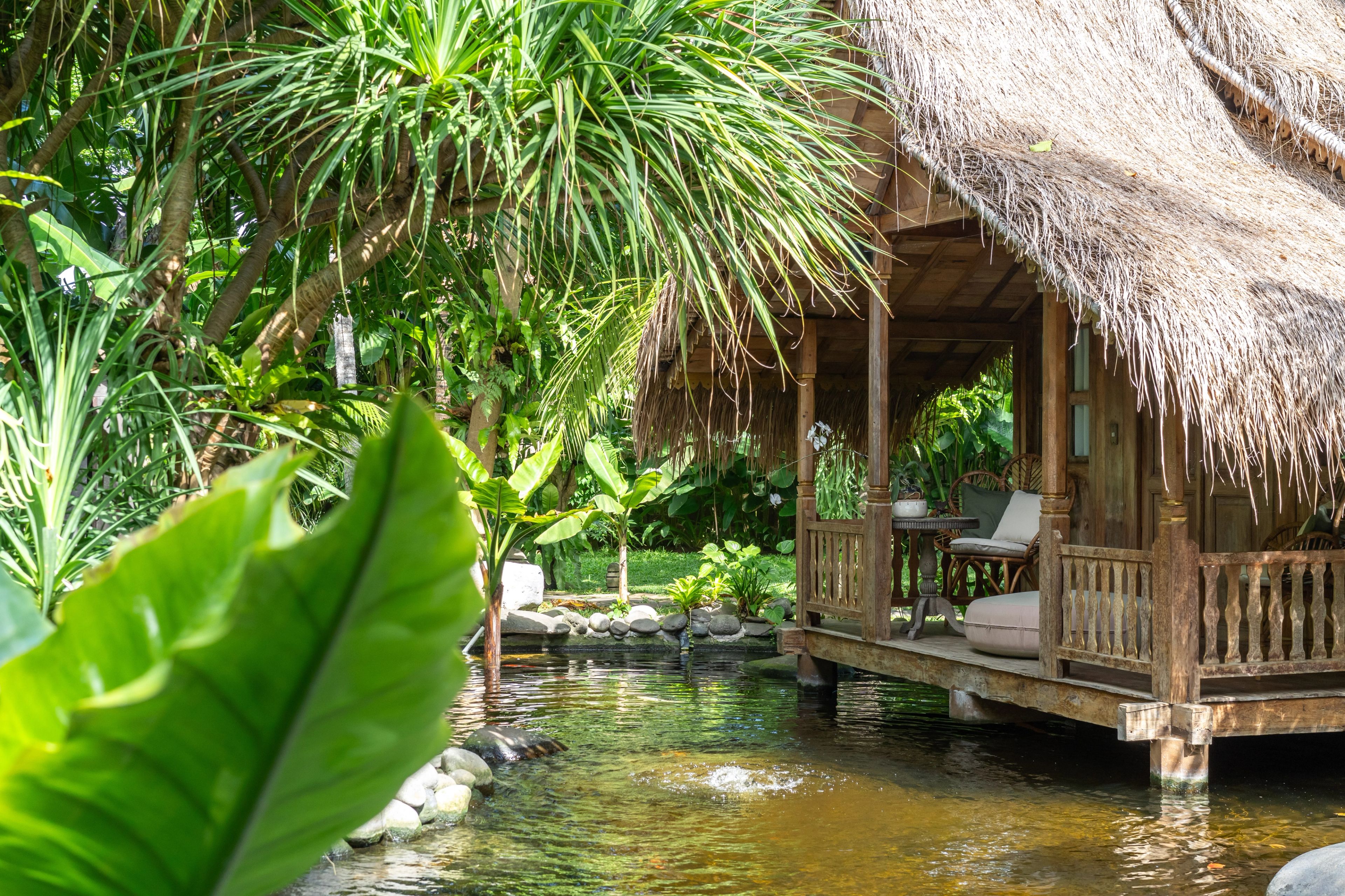 The Pond House veranda glimpsed past a large elephant-ear leaf in the foreground.