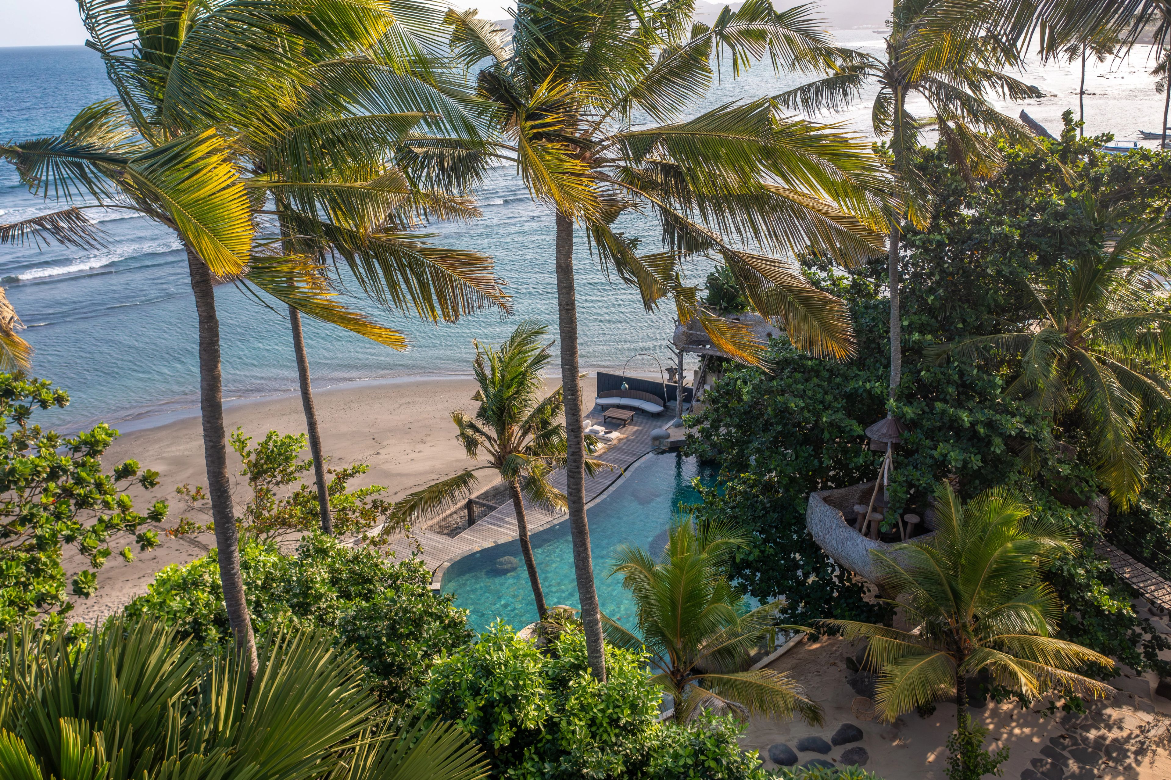 The pool and terraces seen from above through the palms, the reef beyond.