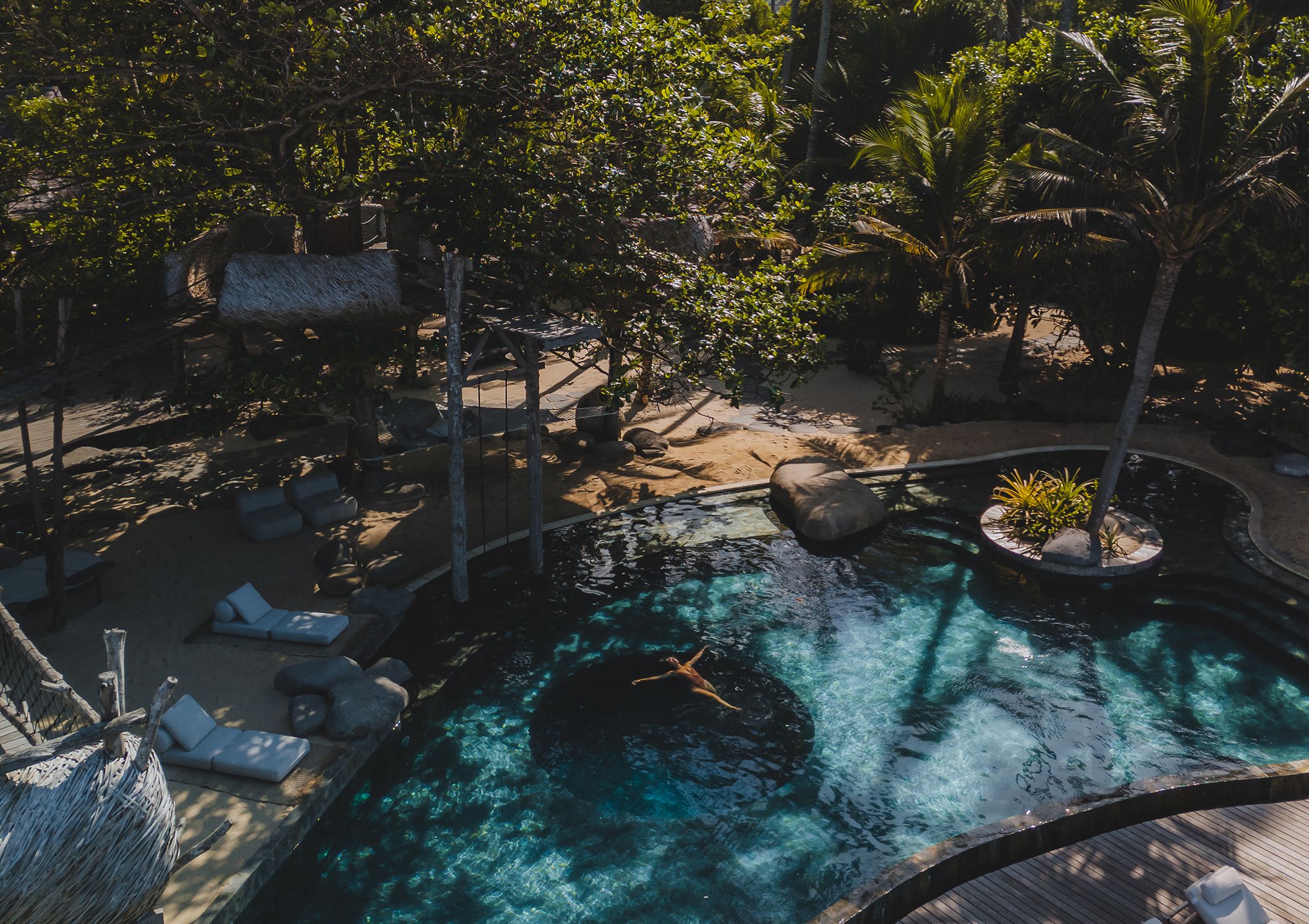 The pool seen from above through the palms, a swimmer in the water and loungers along its edge.