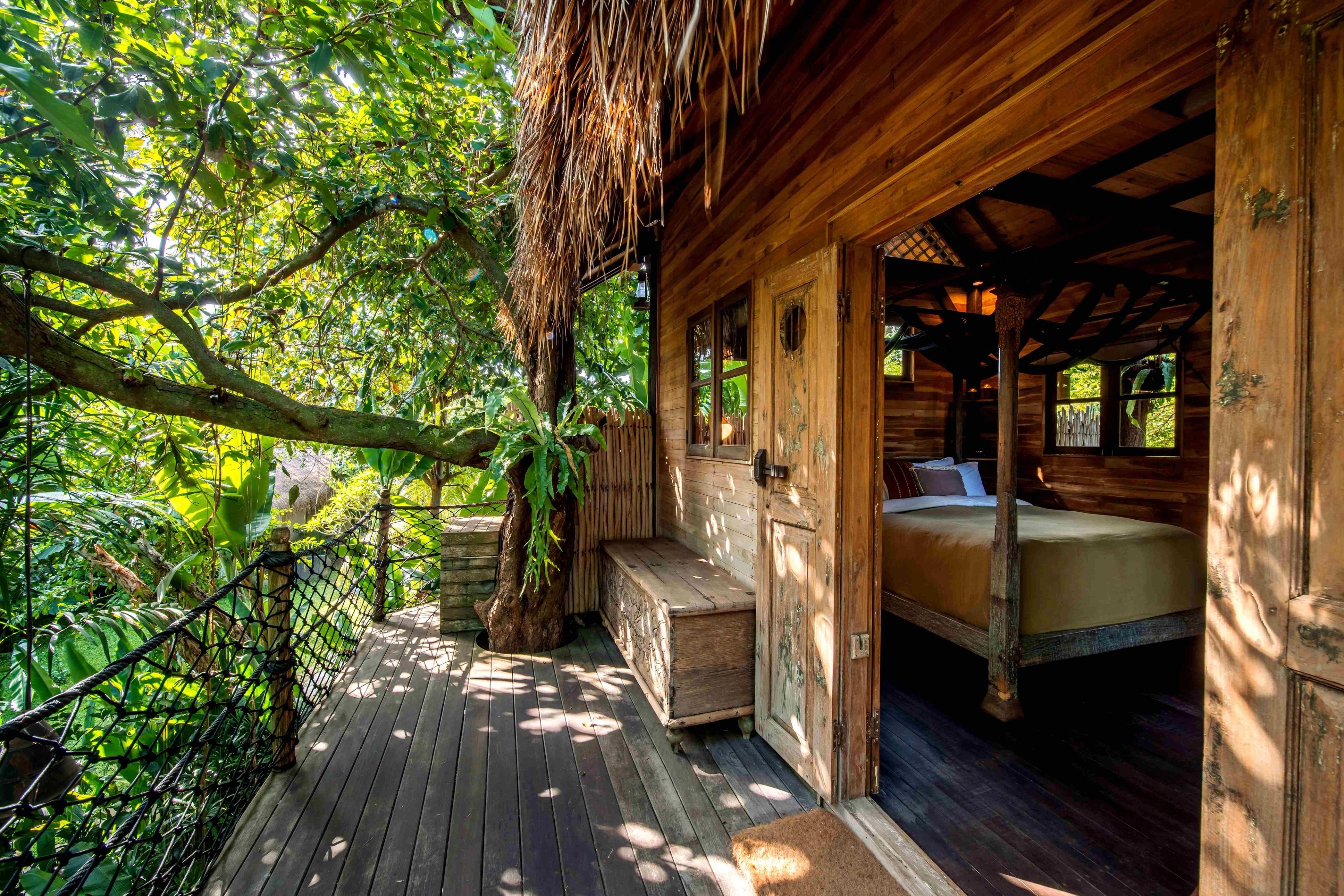 Jungle sanctuary