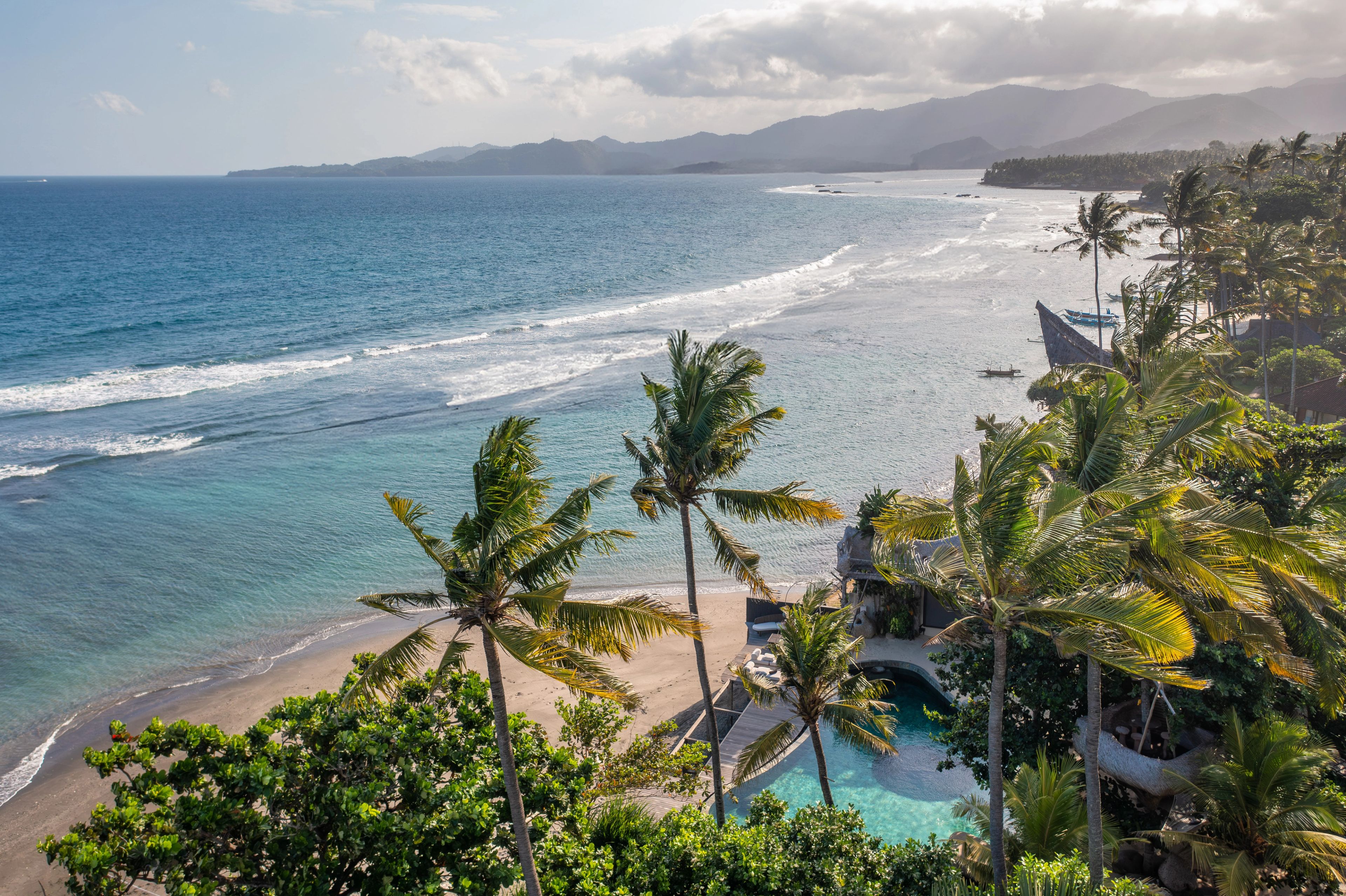 The shoreline seen from the hillside: reef, palms and the pool set into the trees below.