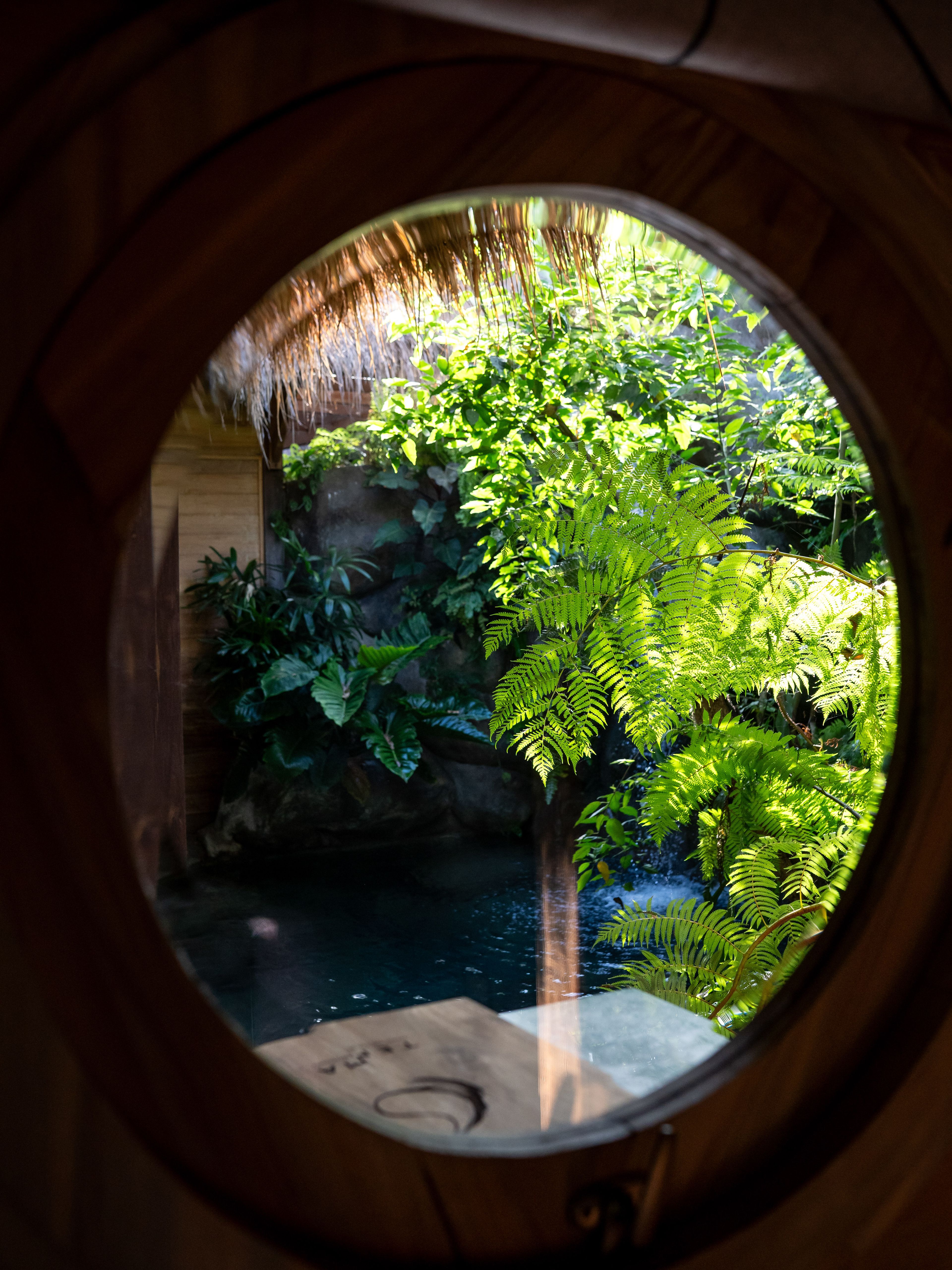 A round window framing a wall of ferns and foliage outside.
