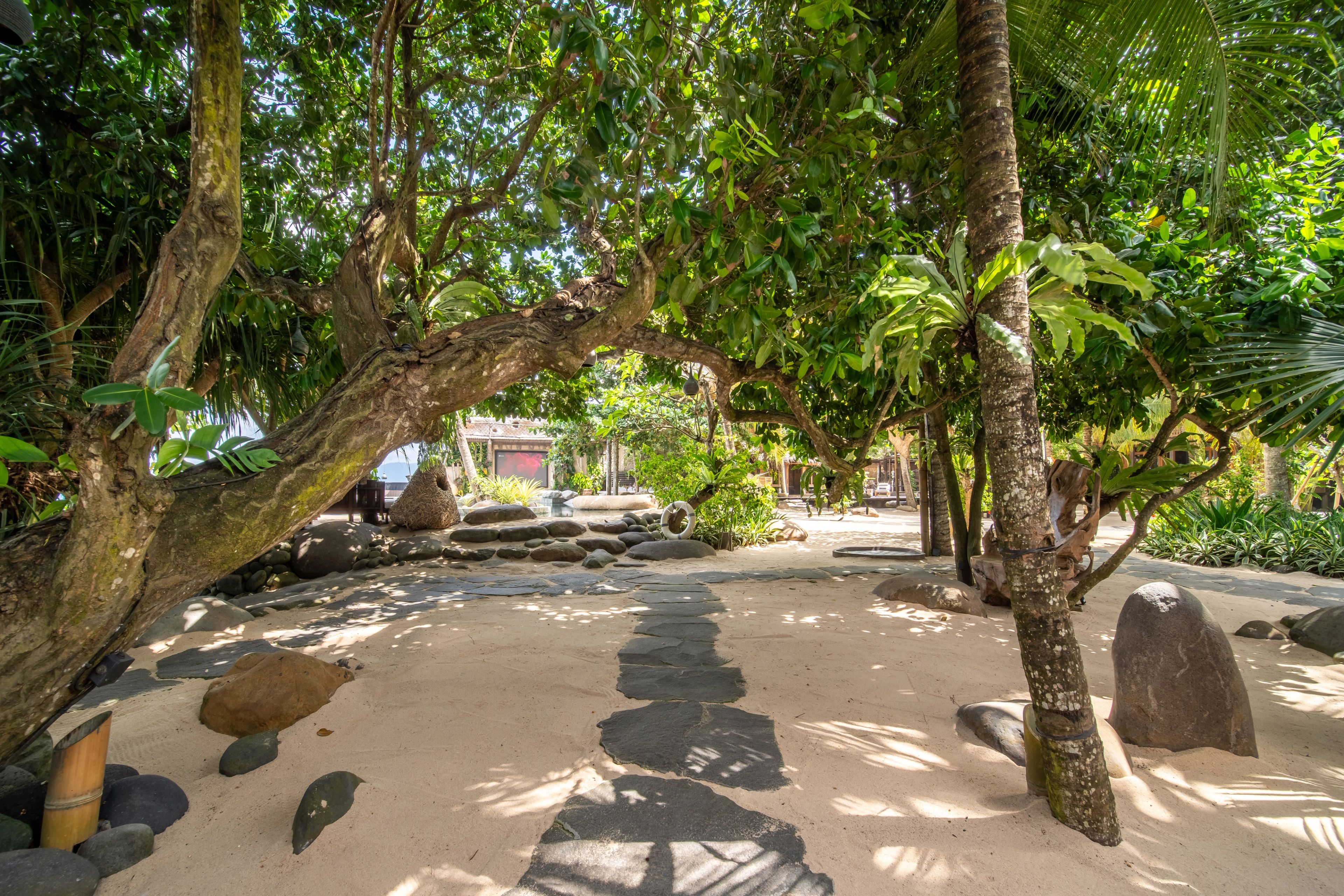 An open sand courtyard between the trees, boulders and planting set through it.