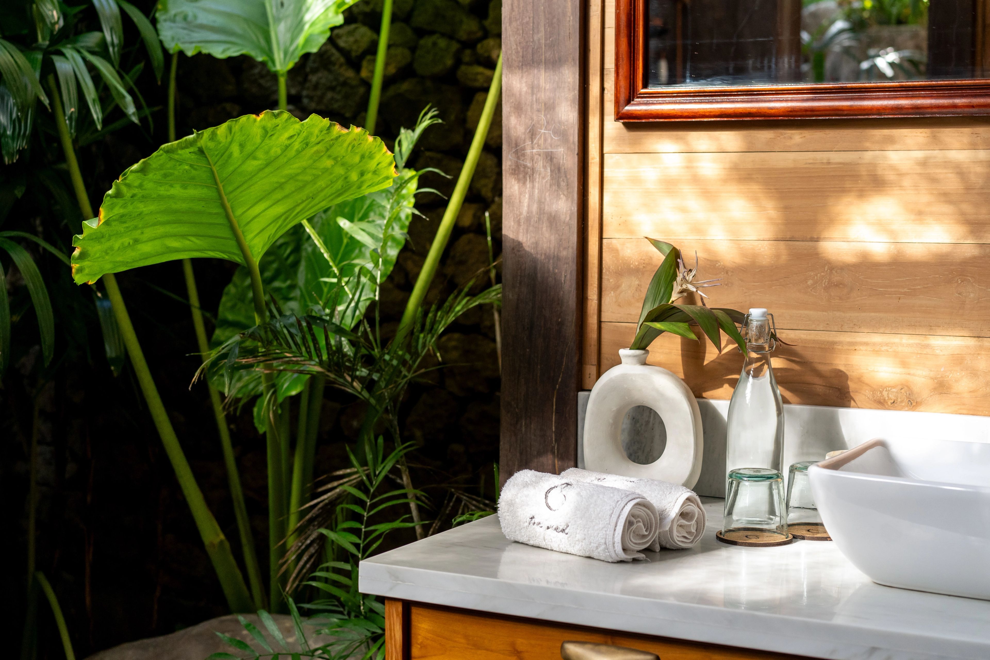 Rolled towels, bottles and a stone basin on a pale counter, a large leaf pressing in at the window.