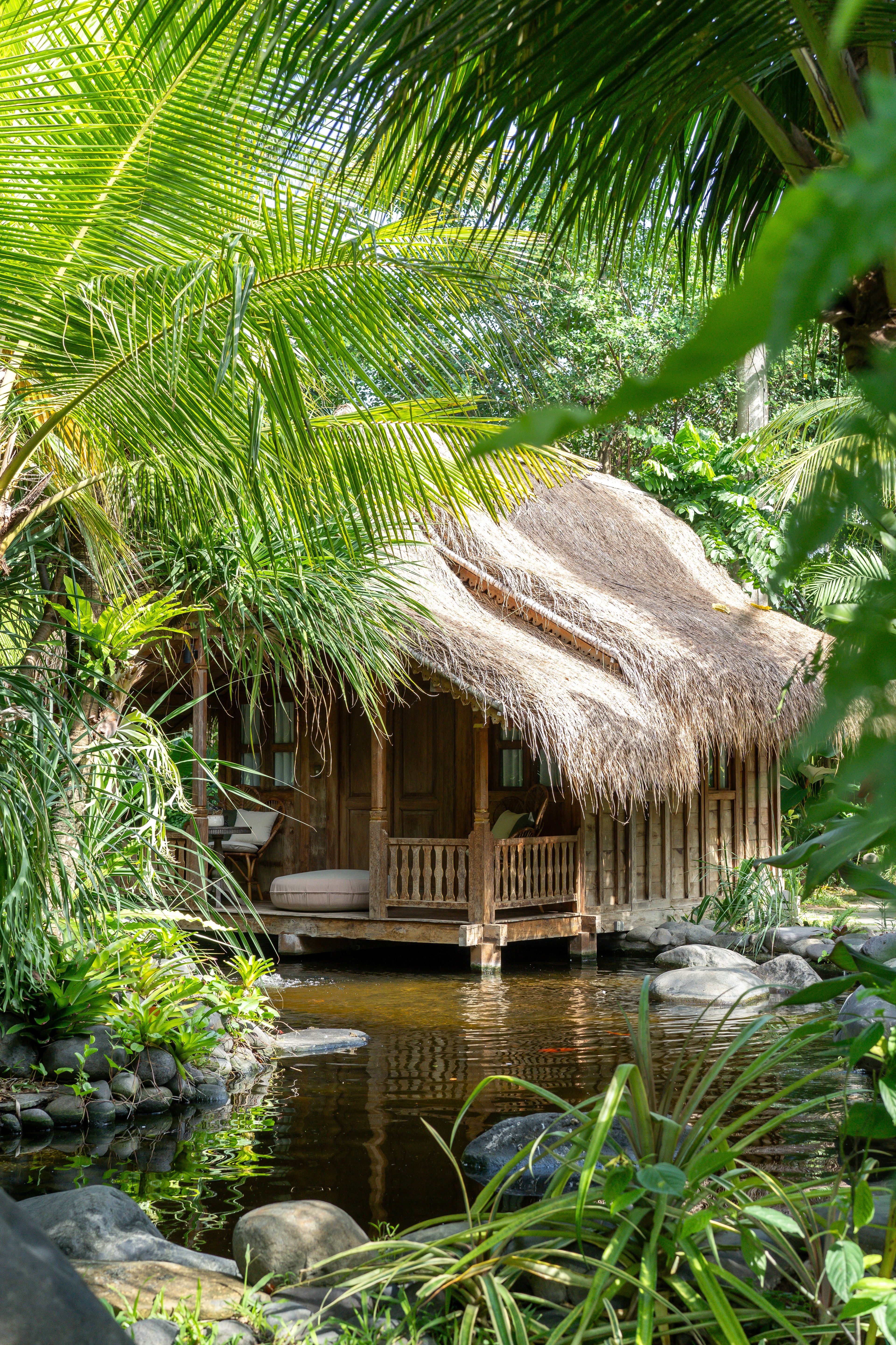 The thatched Pond House on its timber stilts, framed by palm fronds and dense planting.