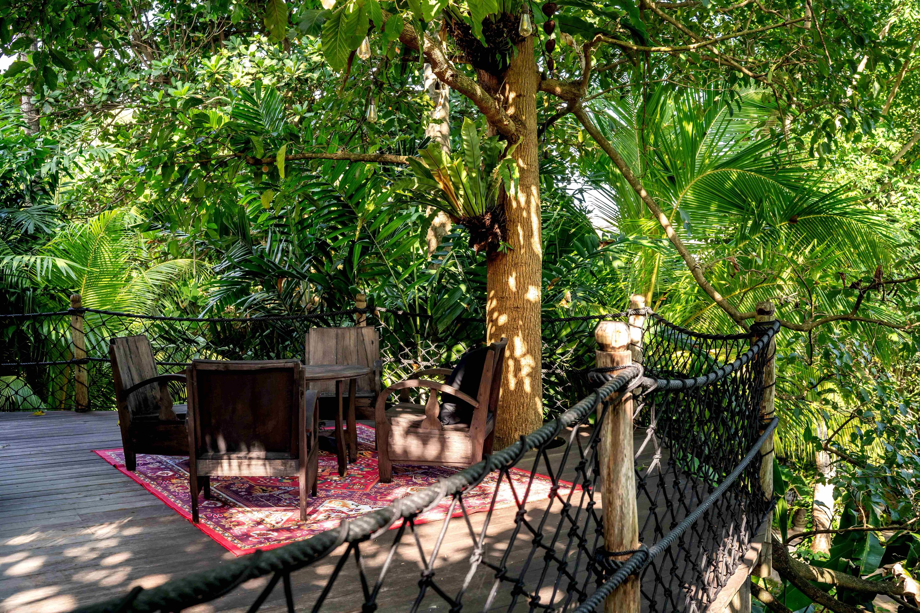 A netted rope bridge crossing to the seating deck, its patterned rug and chairs set among the trees.