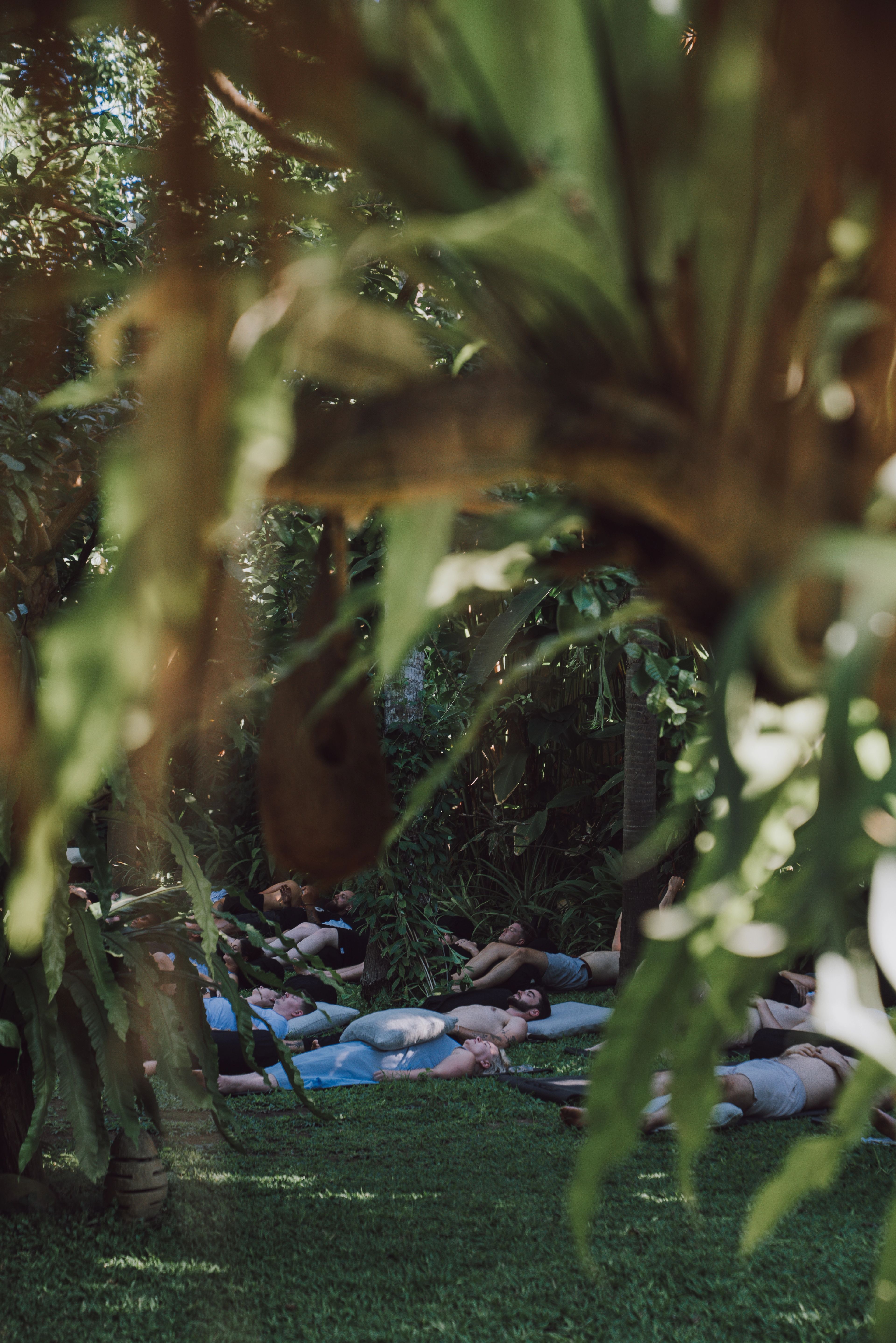 Guests lying out on the grass for a sound healing session, seen through the leaves.