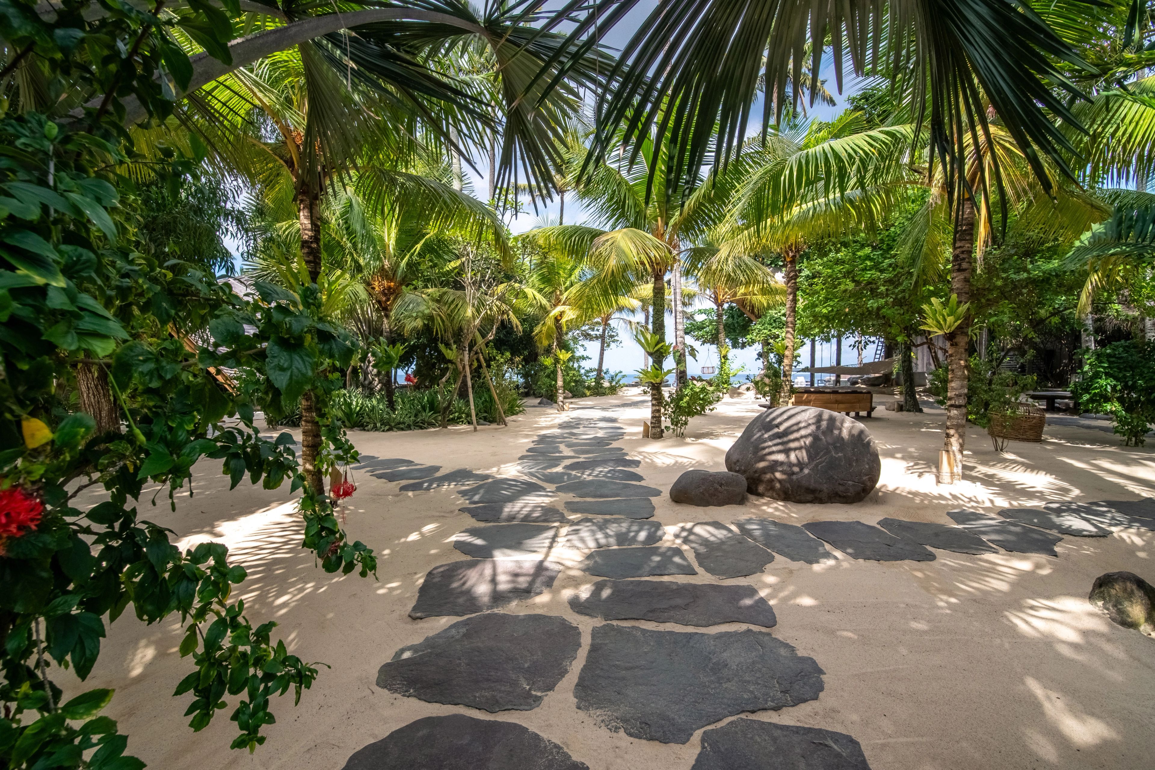 Stepping stones set into the sand, curving through the palms towards the beach.
