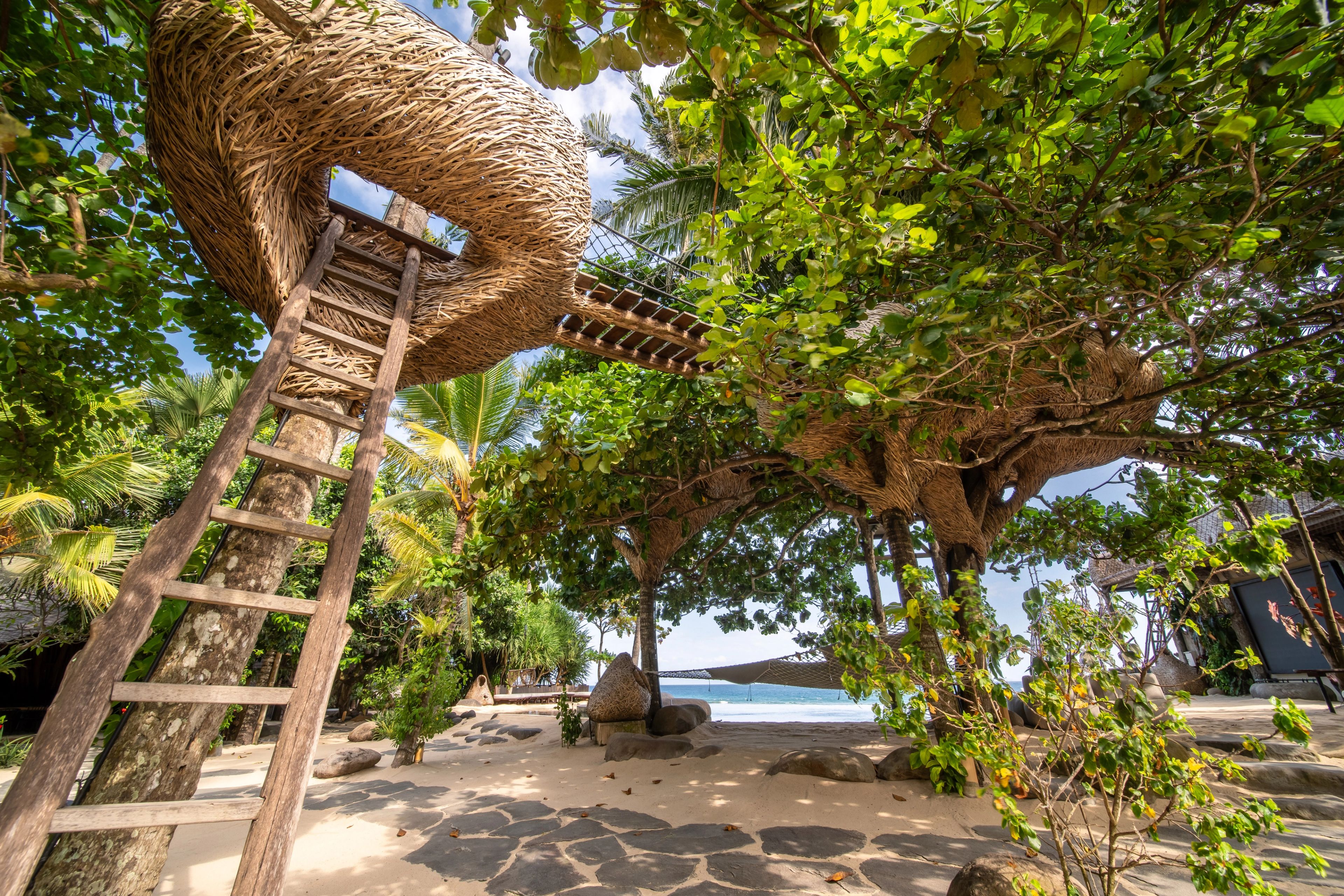 A wooden ladder and rope bridge connecting treehouse structures within the jungle canopy.
