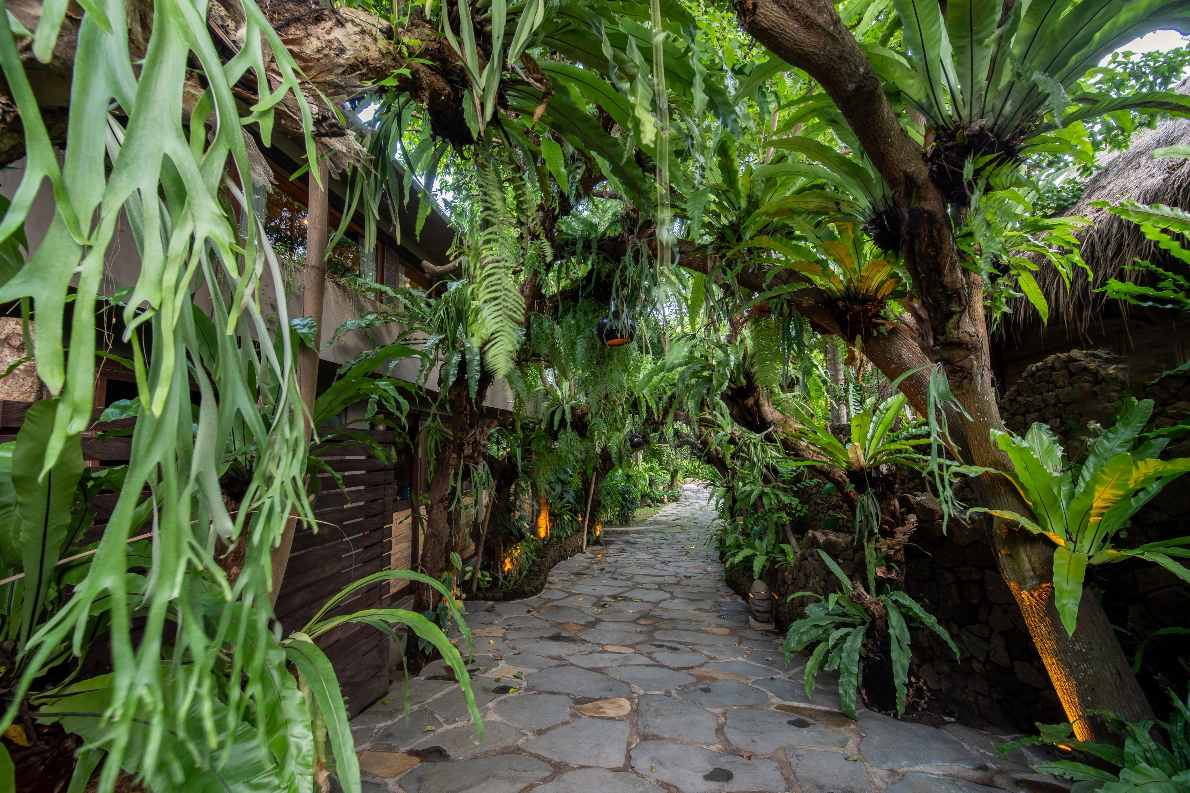 A fern-lined walking path through the grounds.