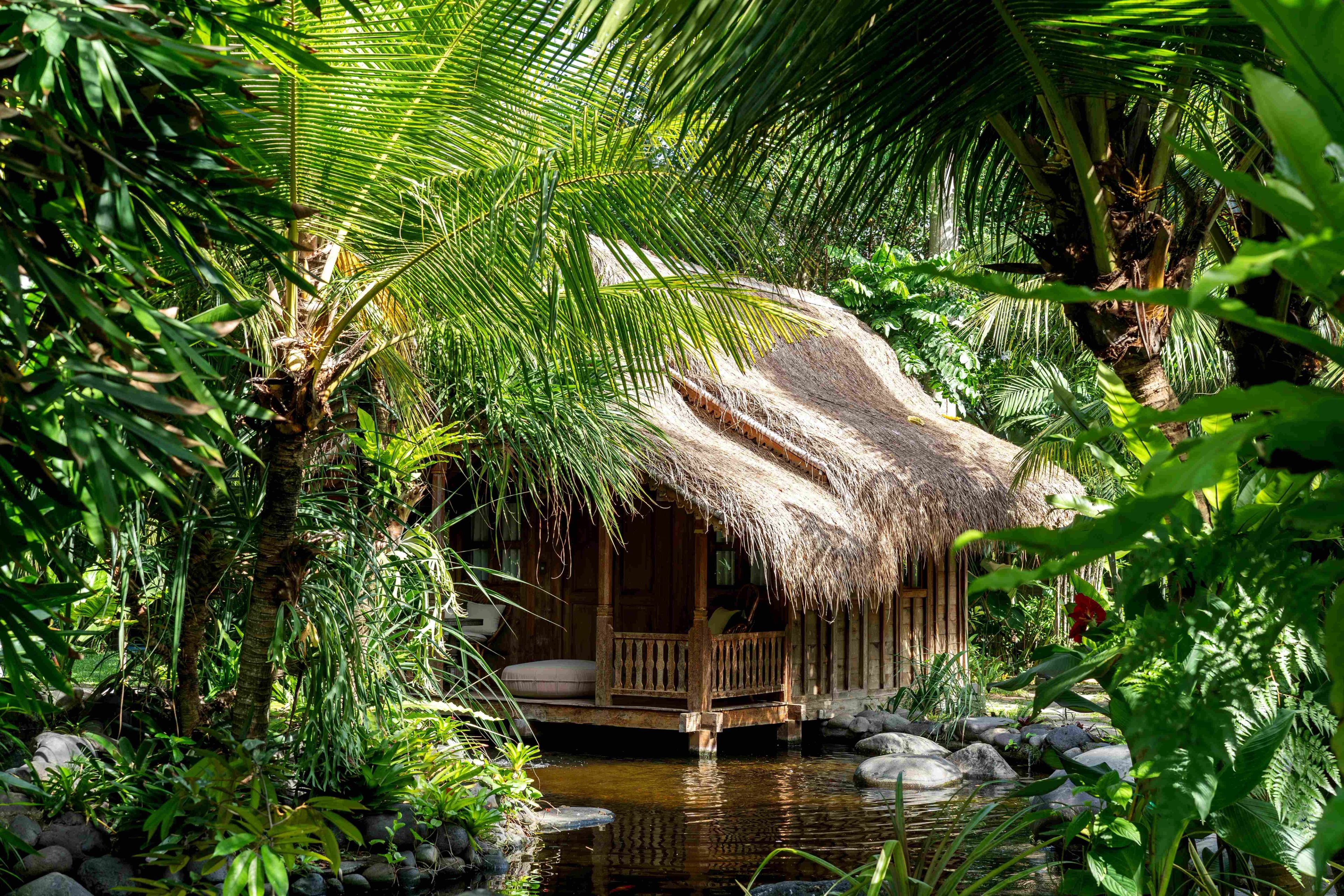 The thatched Pond House on its stilts above the water, enclosed by dense palms and ferns.