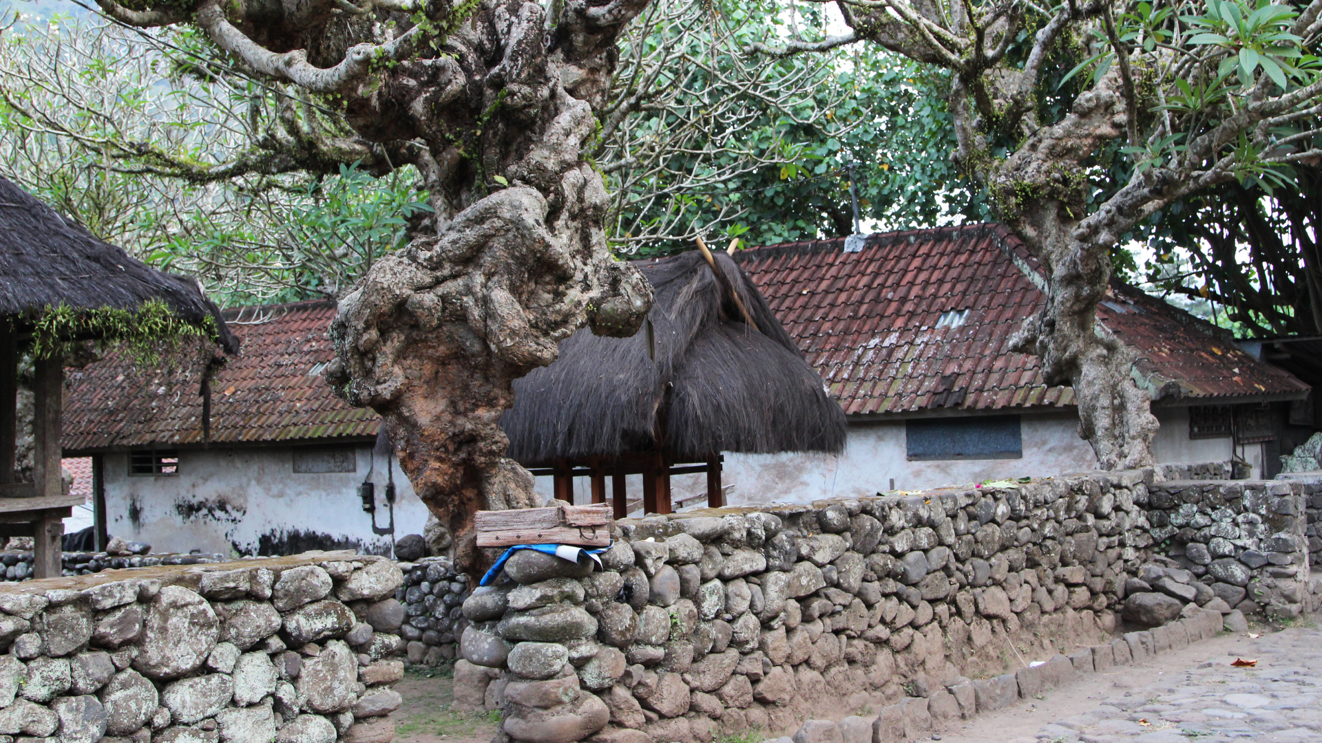 Tenganan Village buildings