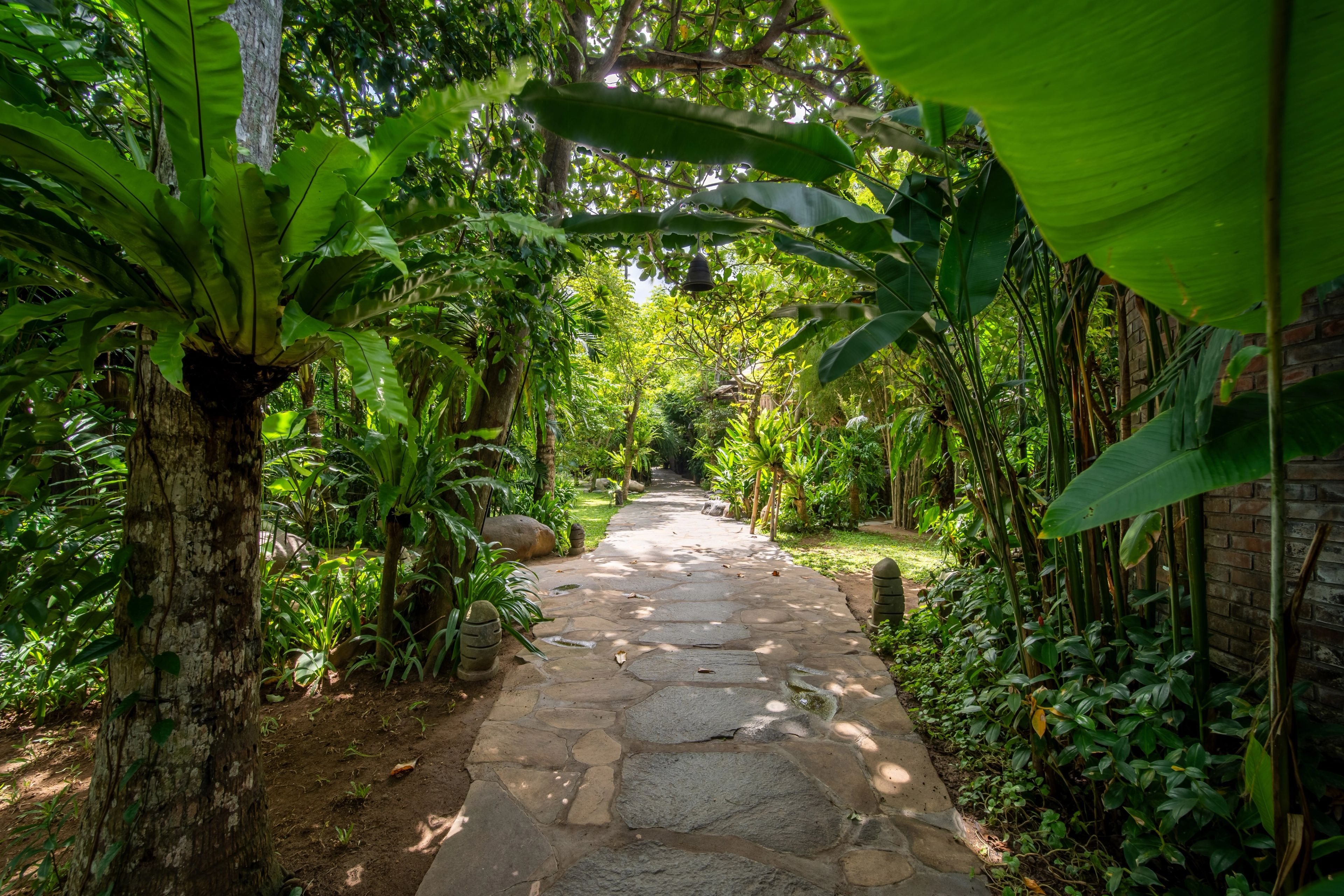 A flagstone path running between banana leaves and palms through the garden.