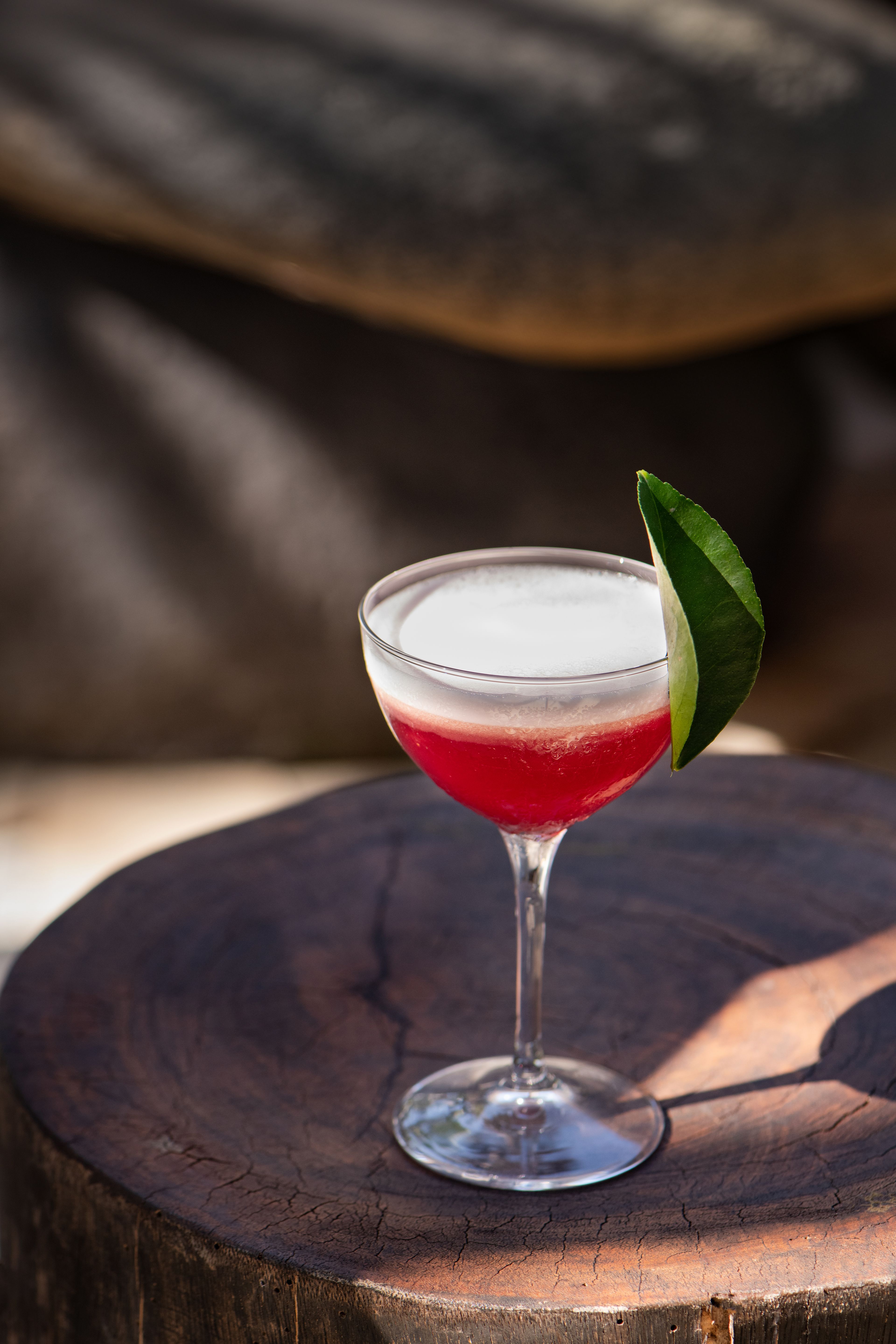 A deep red cocktail in a coupe, finished with foam and a lime leaf.
