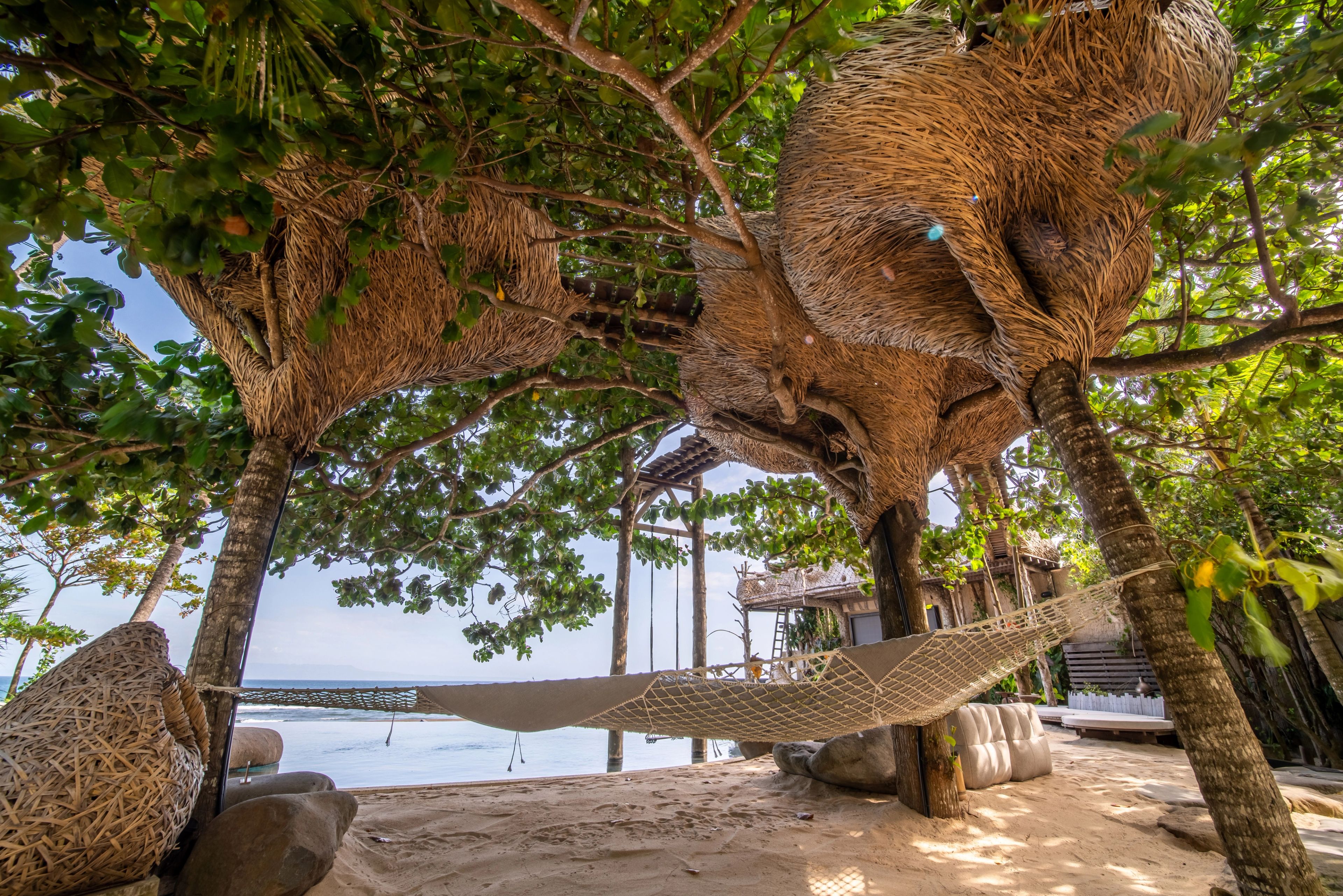 Woven nest pods built into the trees above a hammock slung across the sand.
