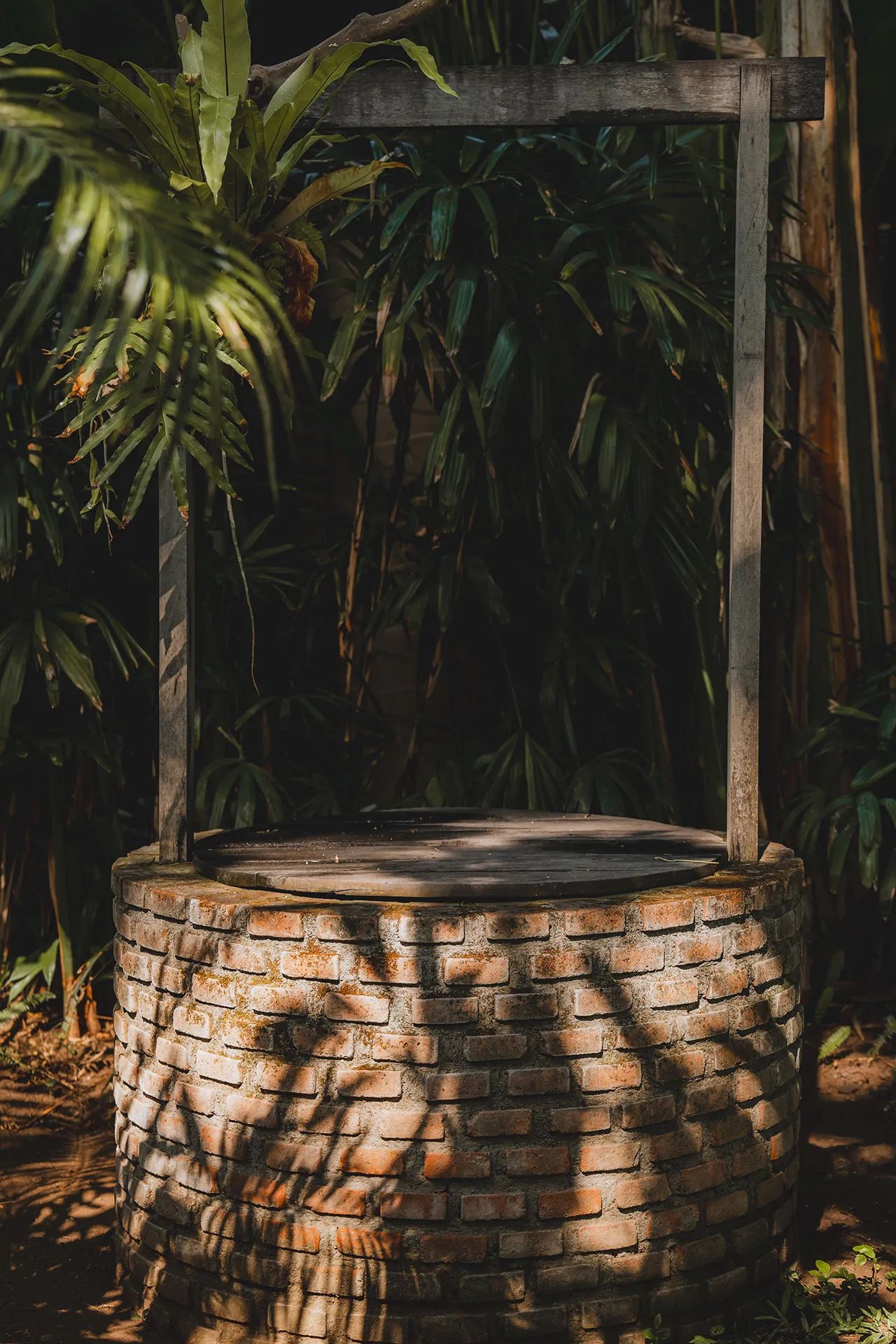 The brick well in the gardens at The Seed, covered by a timber lid under a wooden frame, surrounded by ferns and palms
