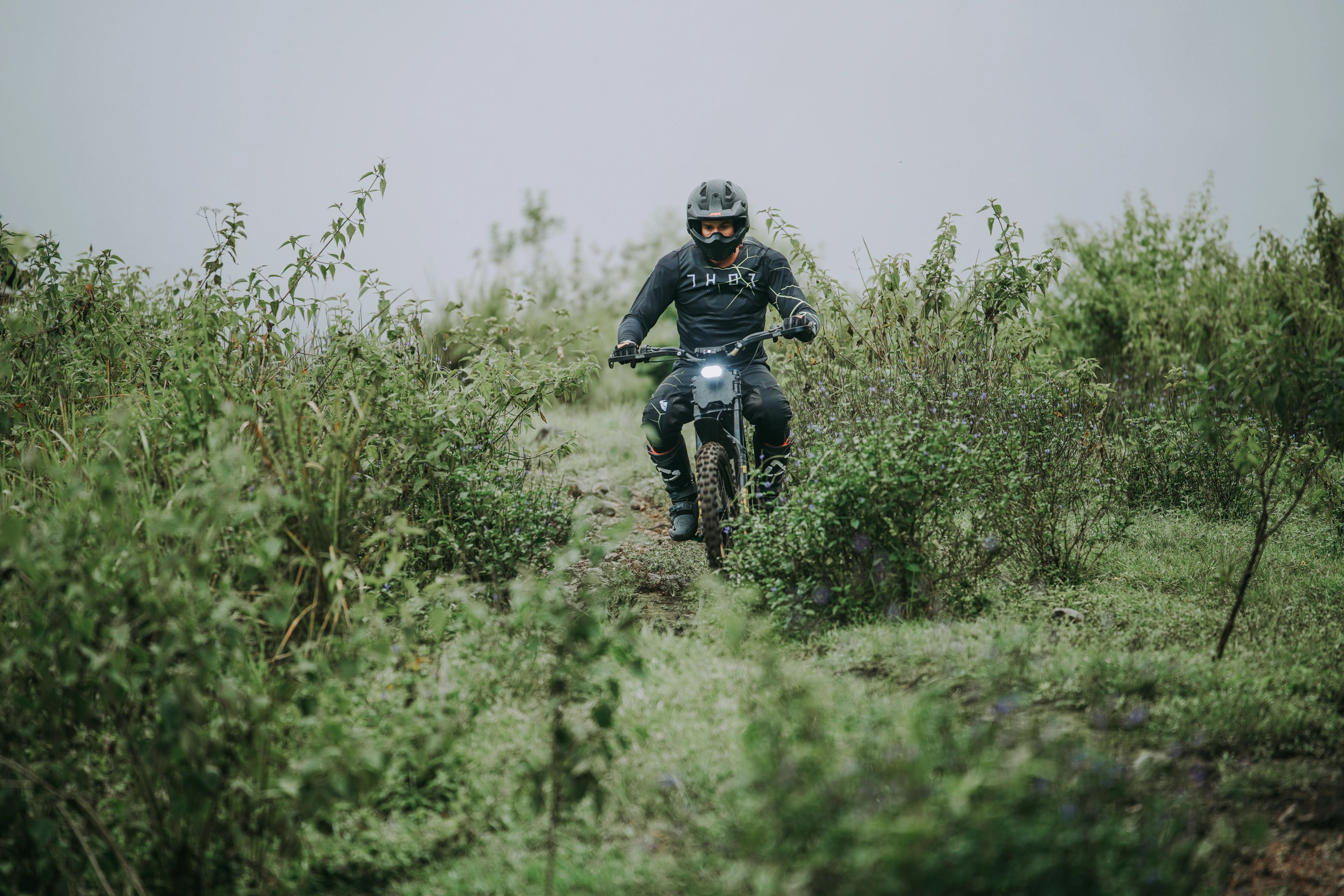 A rider on an electric dirt bike coming through long green grass on a hillside.